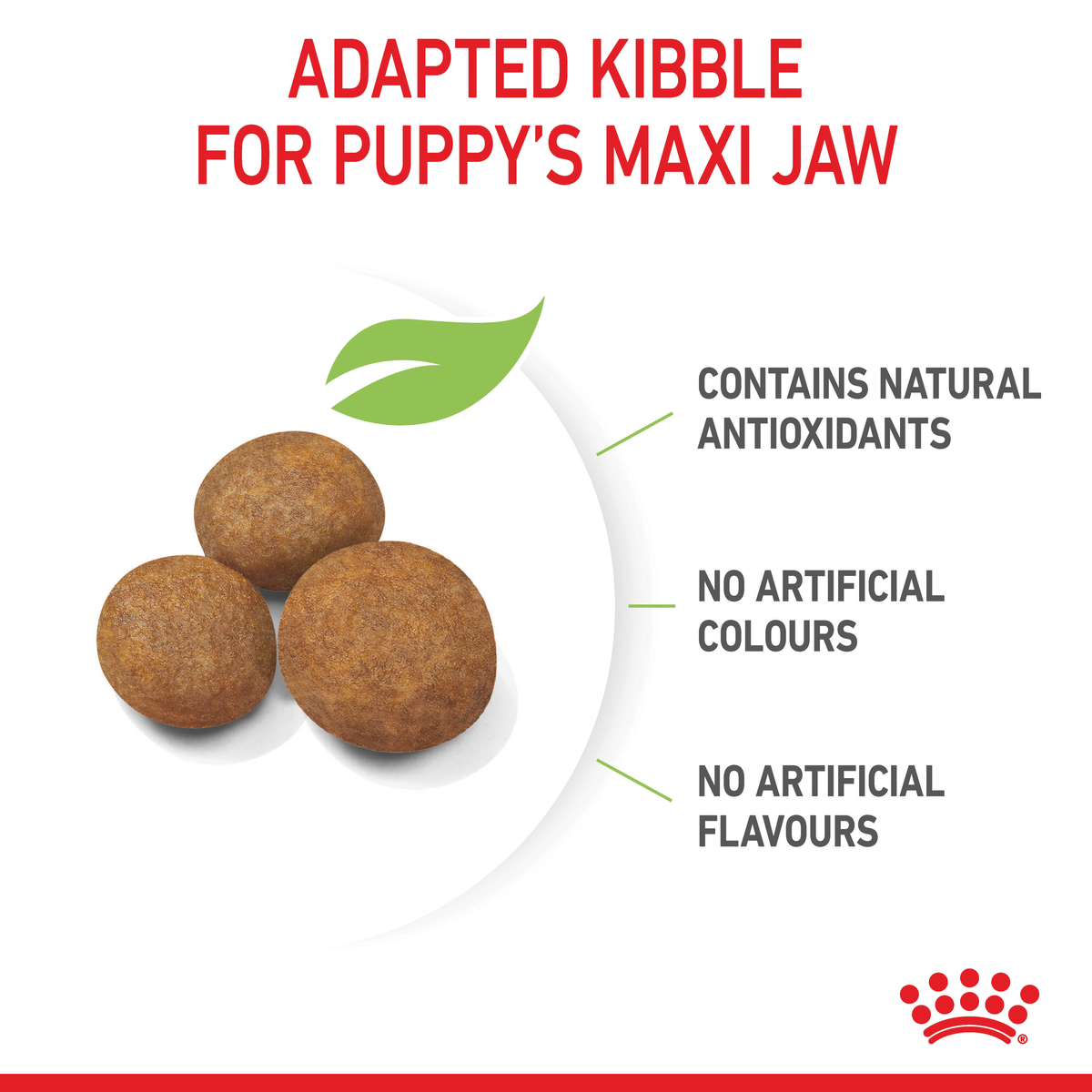 Royal Canin Maxi Puppy kibble adapted to a puppy's jaw, with no artificial colours