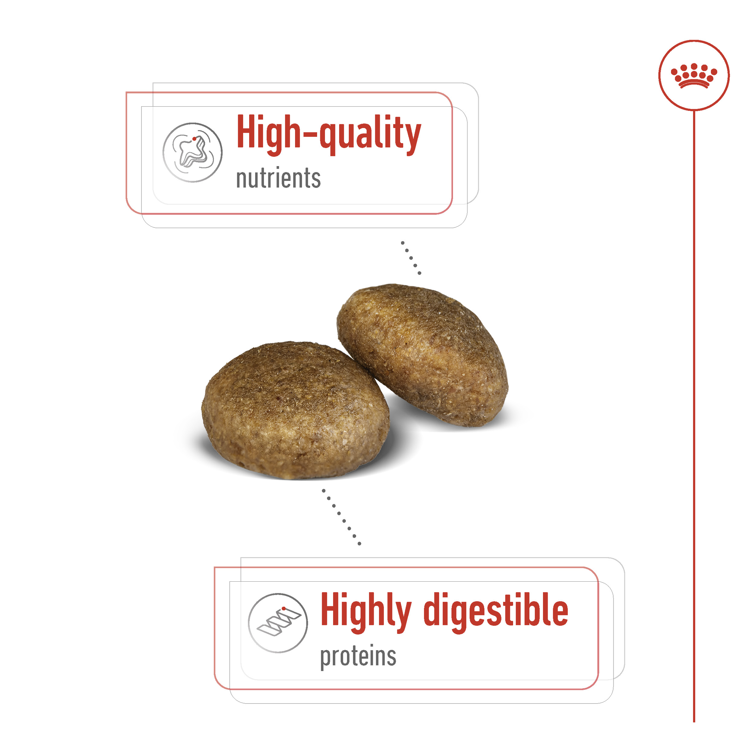 Royal Canin Maxi Adult product detail 3