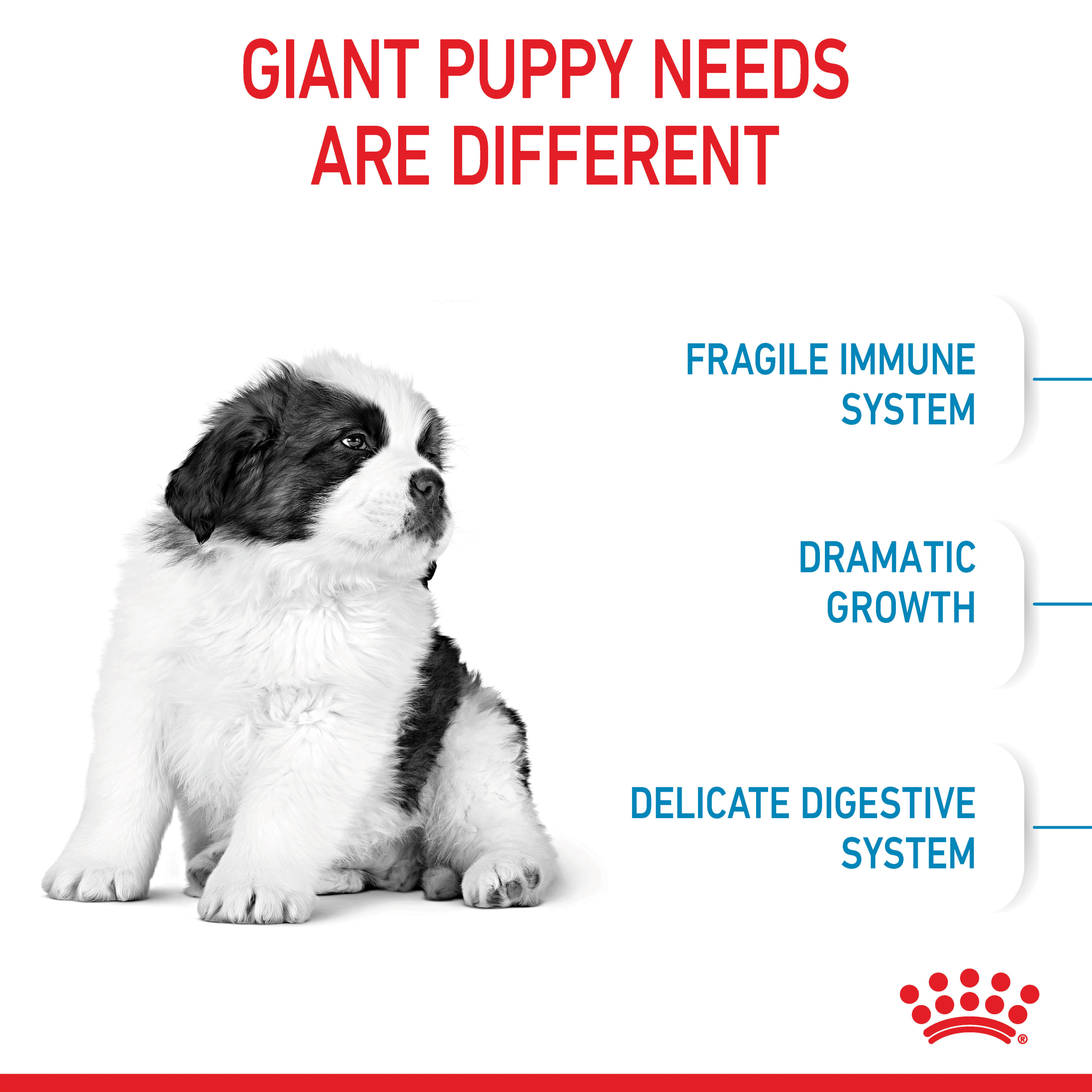 Royal Canin Giant Puppy product detail 2
