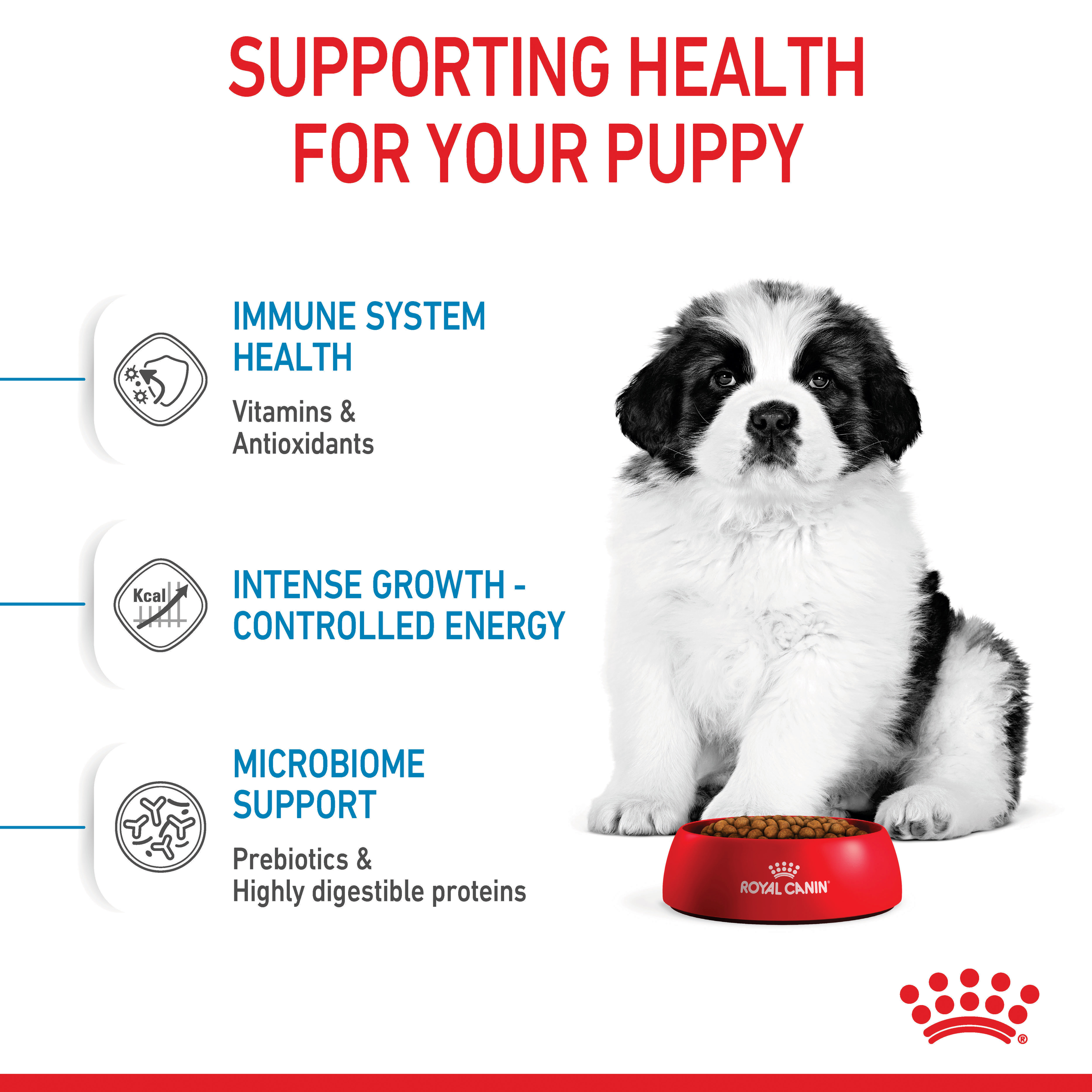 Royal Canin Giant Puppy product detail 4