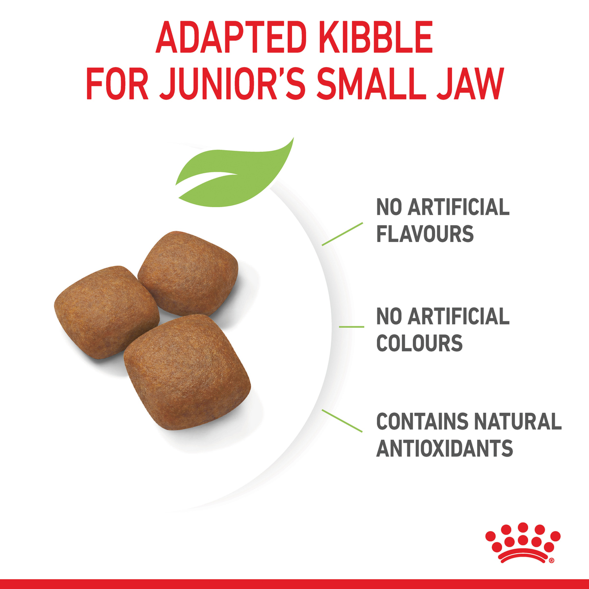 Royal Canin Giant Junior kibble adapted to a junior's small jaw, with no artificial colours