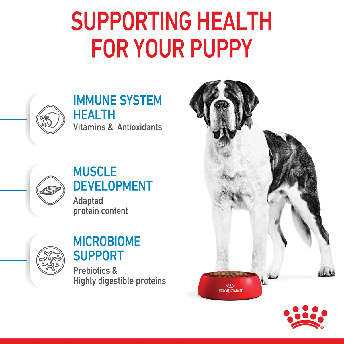 Royal Canin Giant Junior health support: immune health, muscle development, microbiome support
