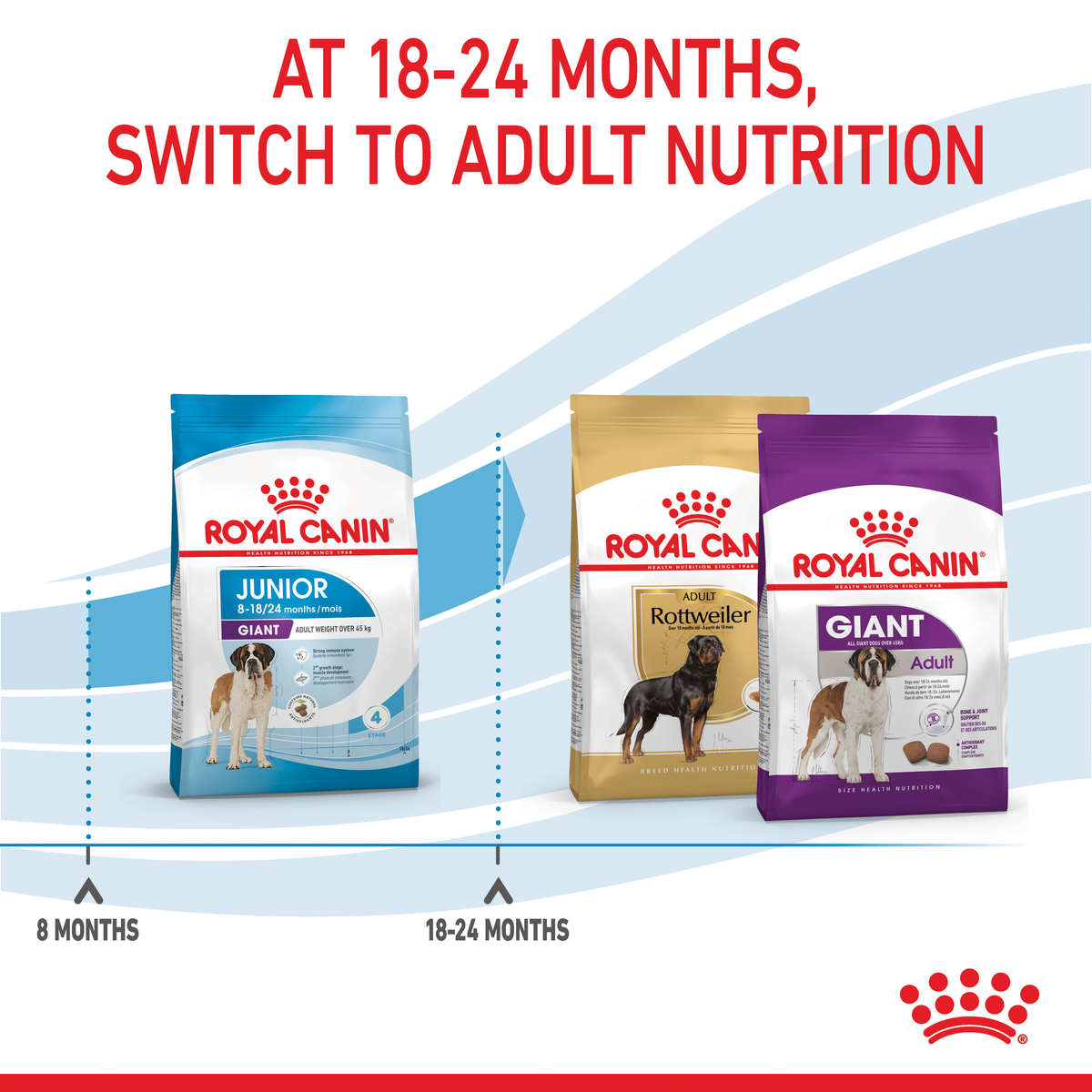 Royal Canin Giant packs showing the switch to adult nutrition at 18 to 24 months