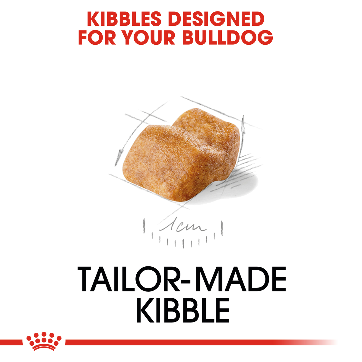 Close-up of the tailor-made Royal Canin Bulldog Puppy kibble shown with a size scale