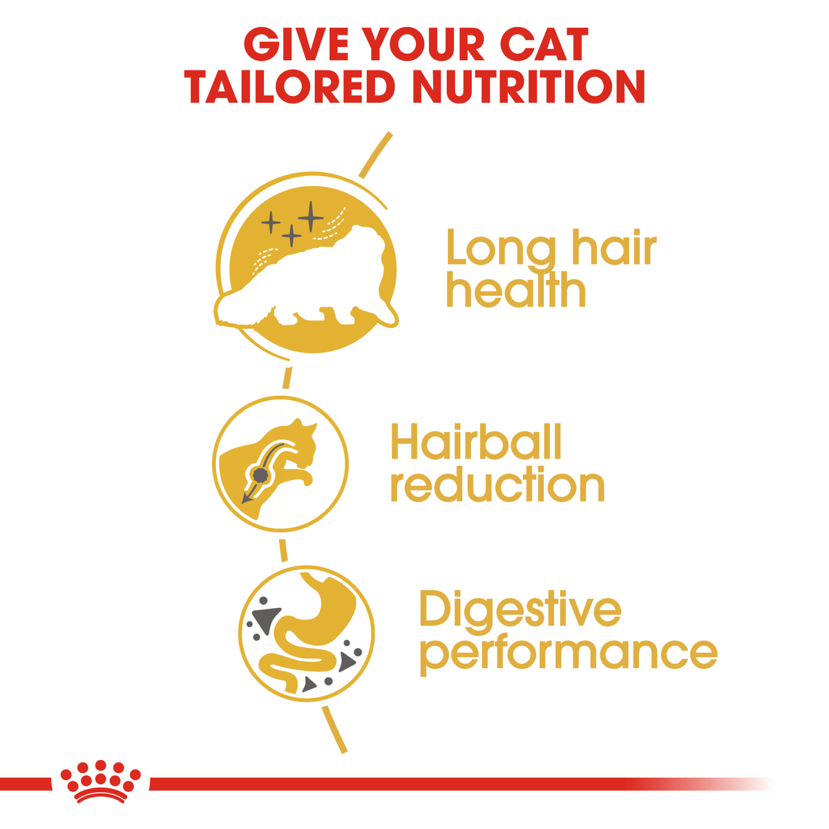 Royal Canin Persian benefits: long hair health, hairball reduction, digestive performance