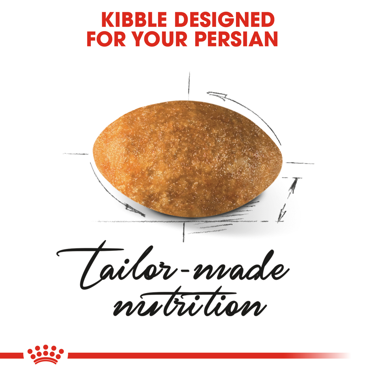 Close-up of the tailor-made Royal Canin kibble designed for the Persian