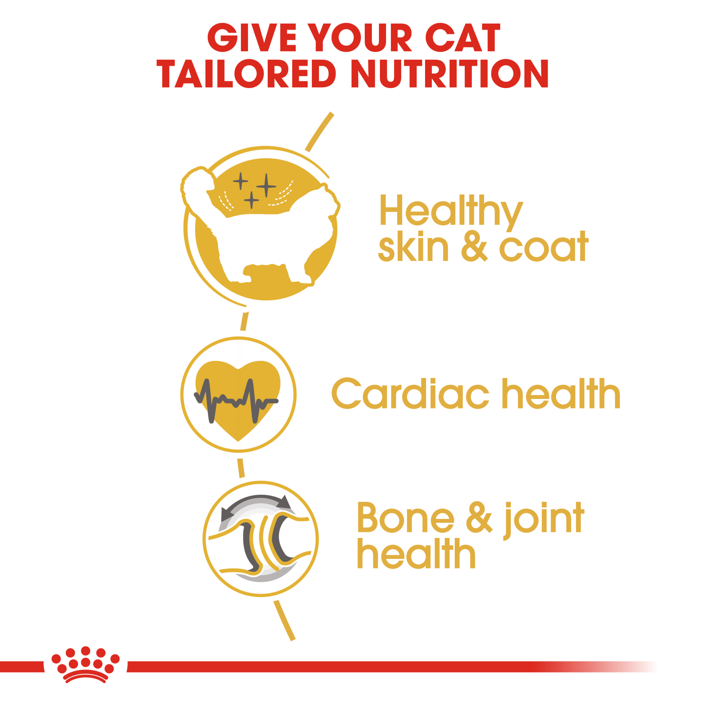 Royal Canin Ragdoll Dry Cat Food product detail 2