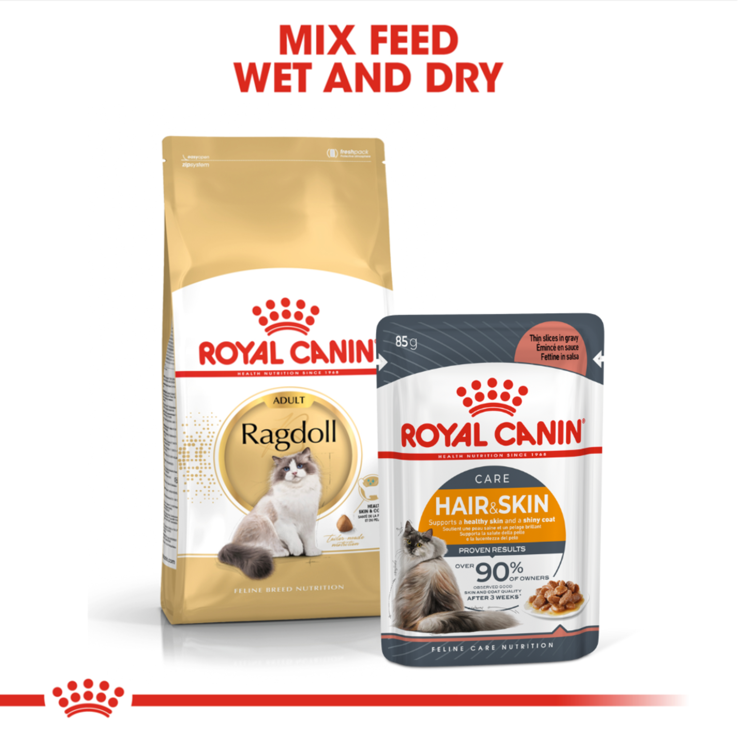 Royal Canin Ragdoll Dry Cat Food product detail 5