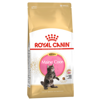 Royal Canin Maine Coon Kitten, dry kitten food, 2kg or 10kg bags, kitten