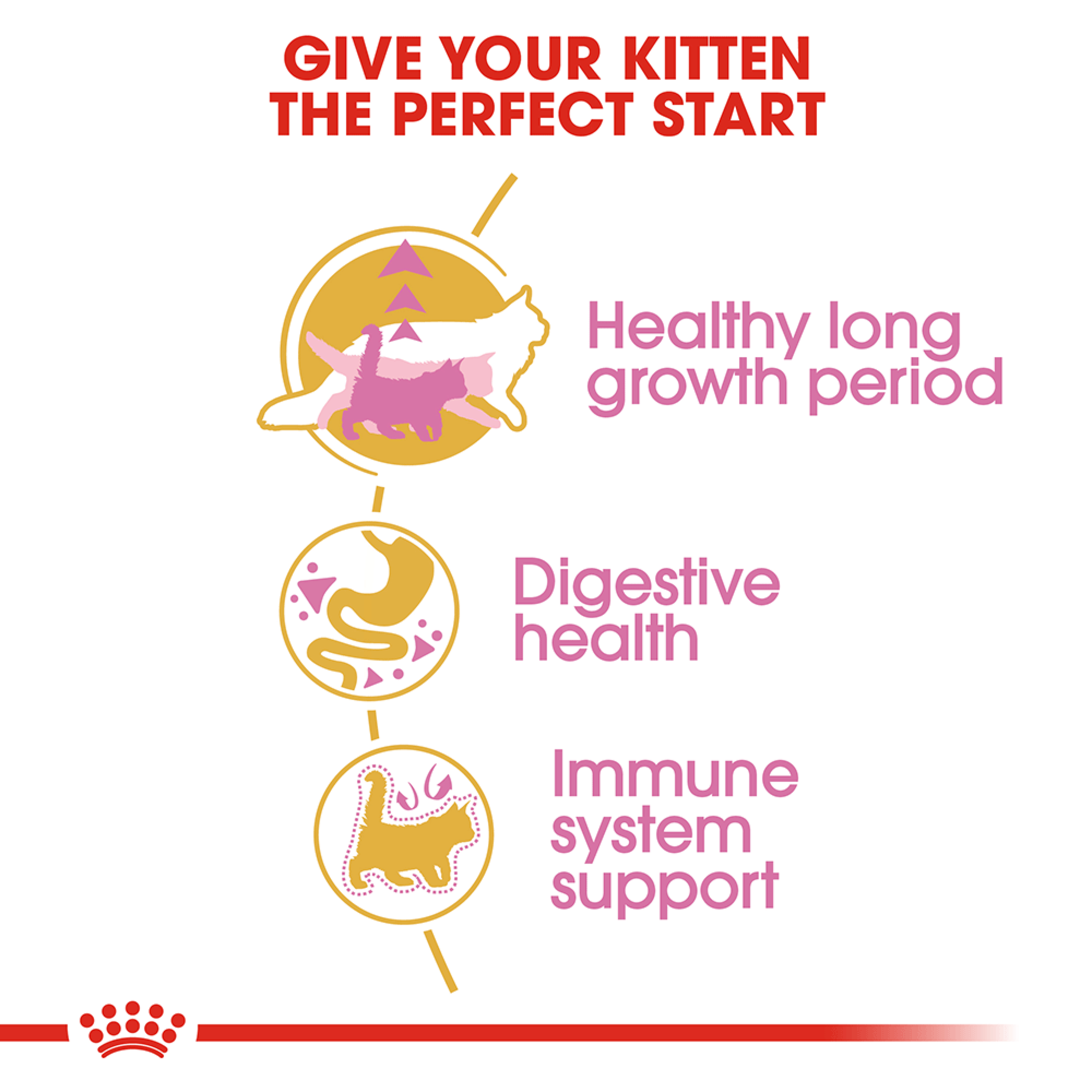 Royal Canin Maine Coon Kitten, dry kitten food, 2kg or 10kg bags, kitten