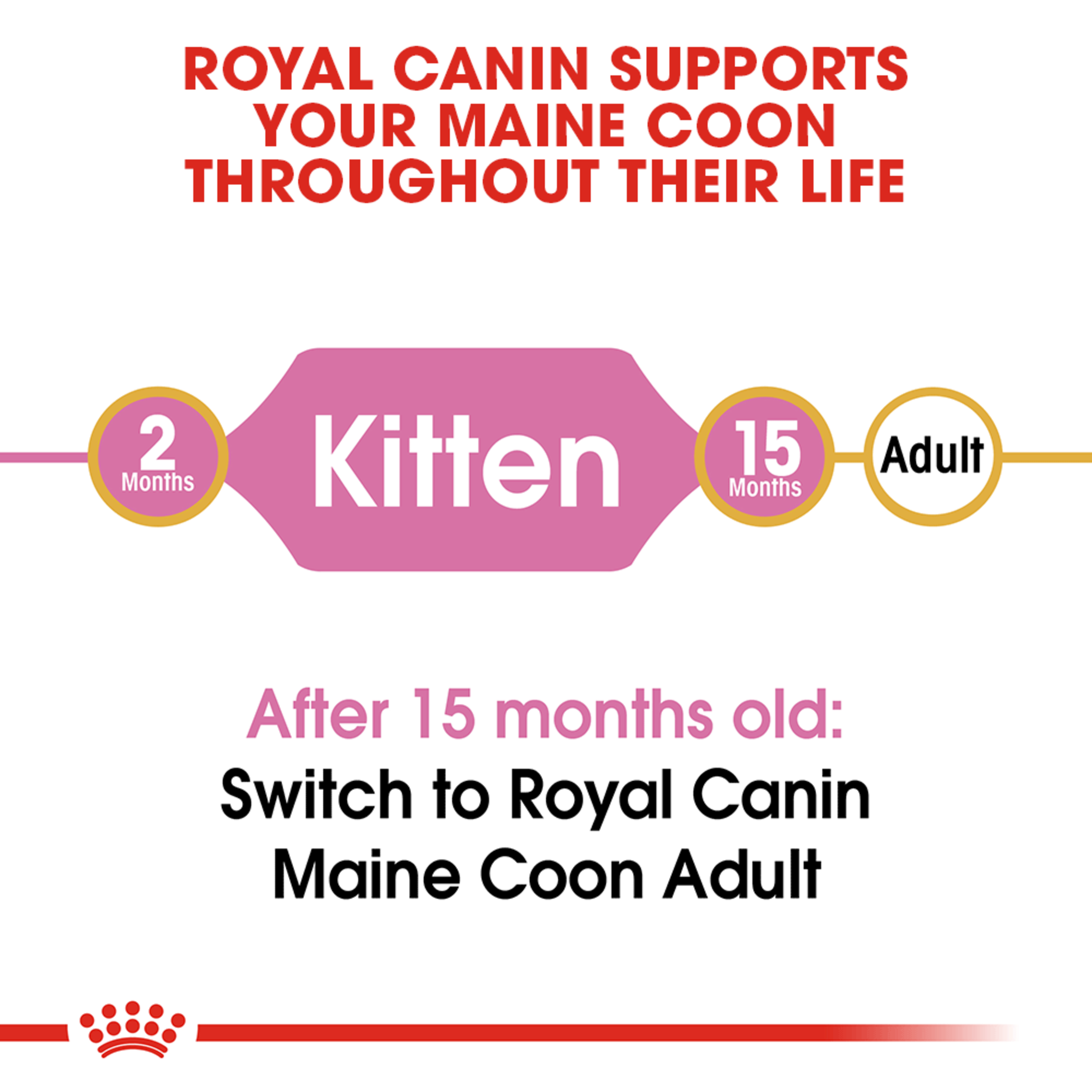 Royal Canin Maine Coon Kitten, dry kitten food, 2kg or 10kg bags, kitten