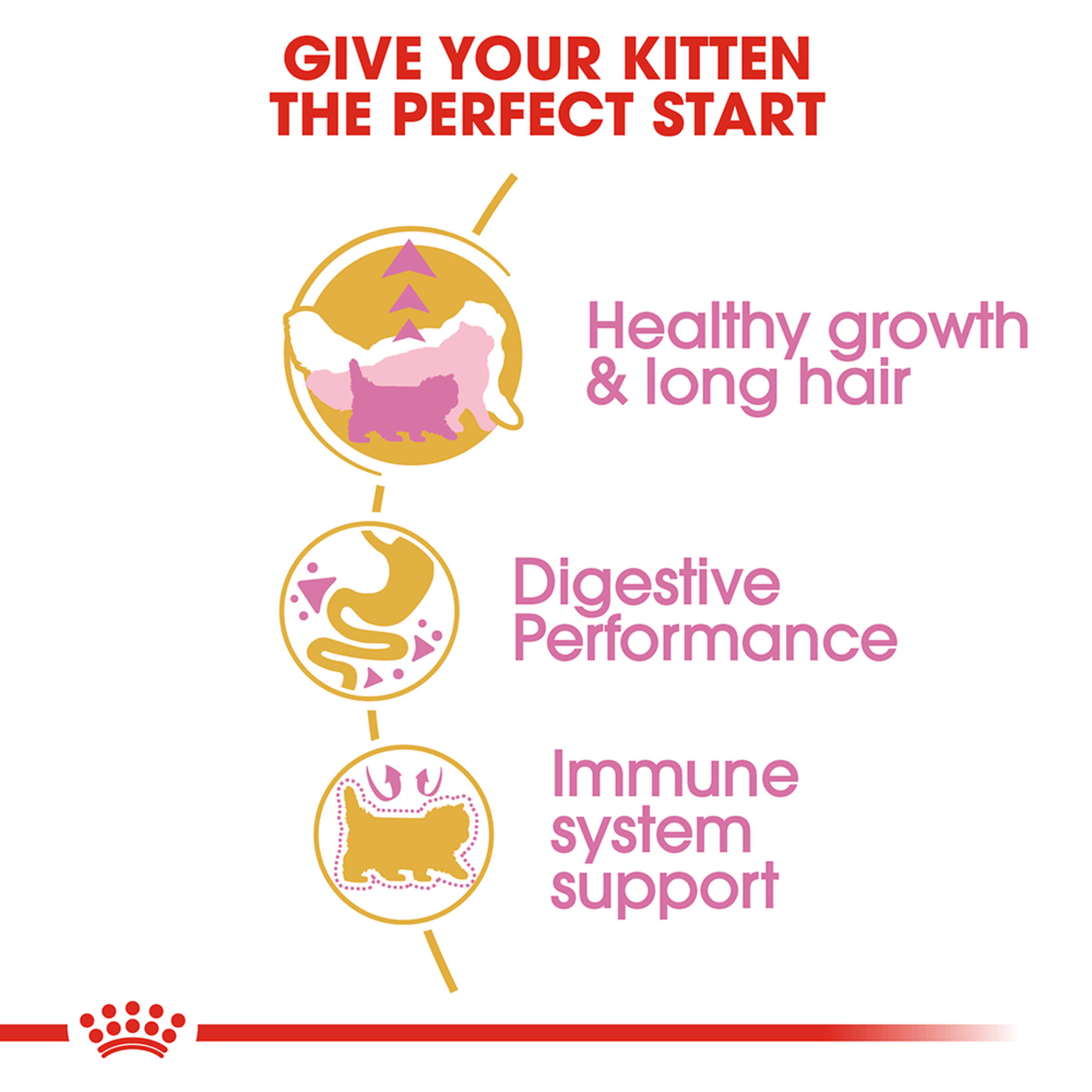 Royal Canin Dry Cat Food Persian Kitten product detail 2