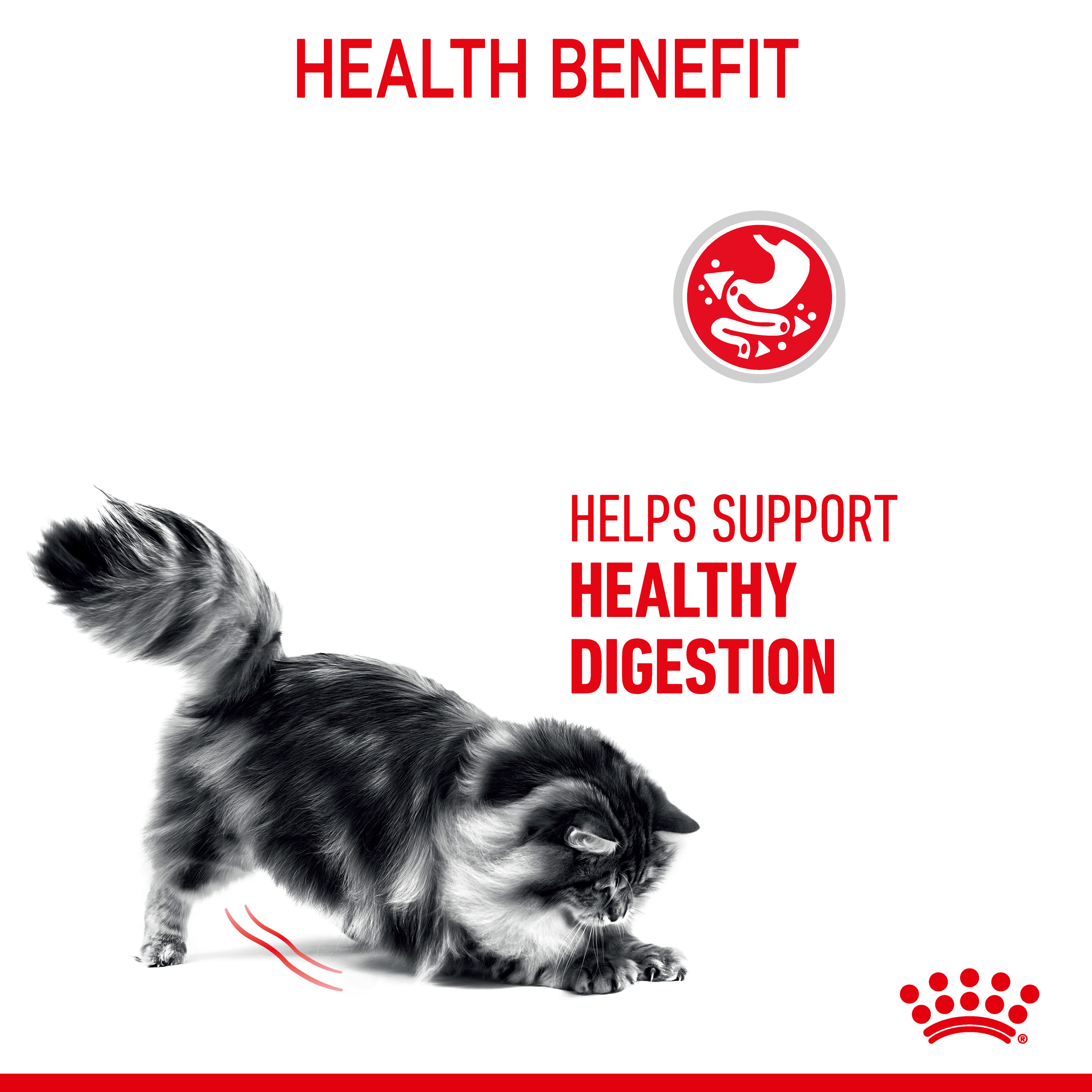 Royal Canin Digestive Care Dry Cat Food product detail 2