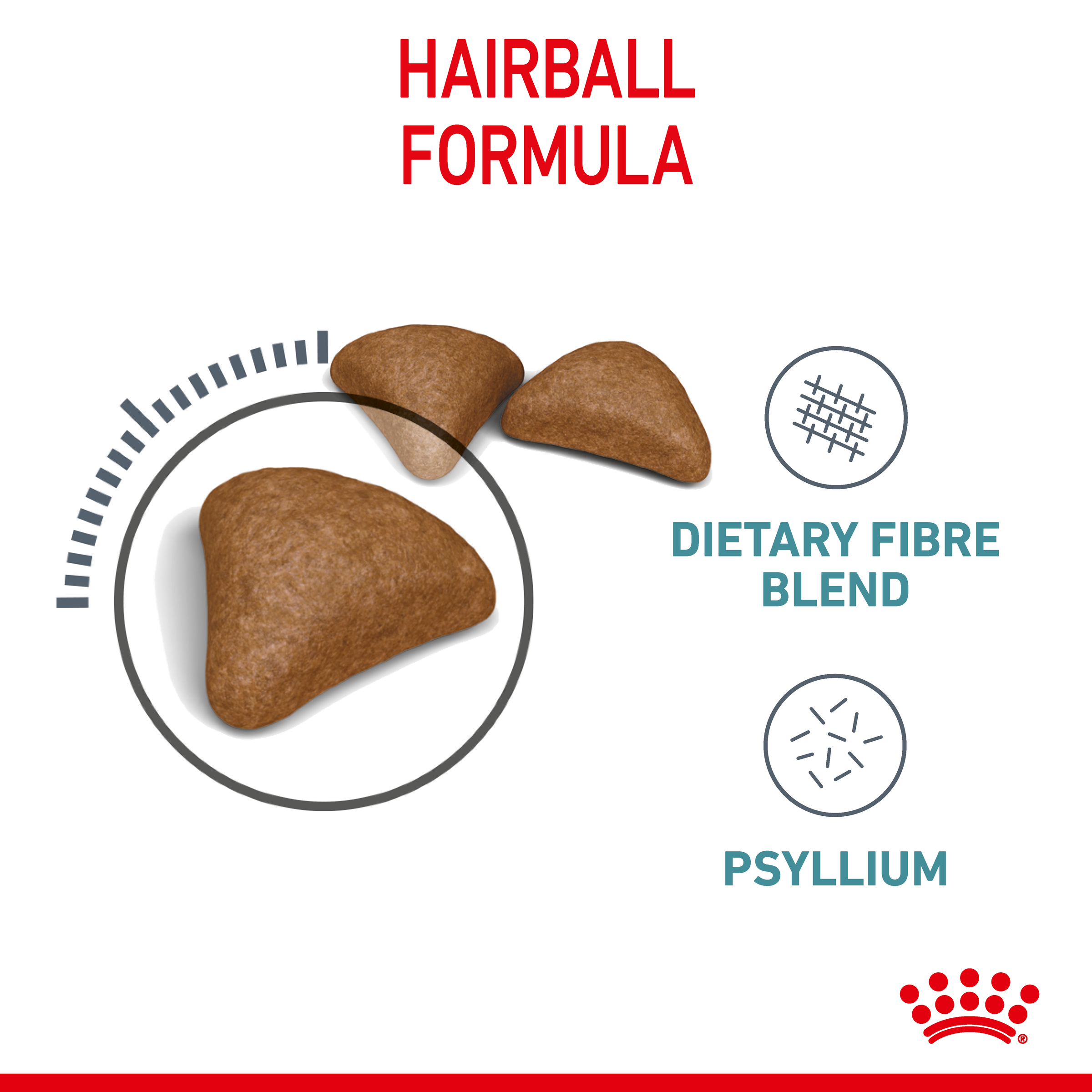Royal Canin Hairball Care Dry Cat Food product detail 3