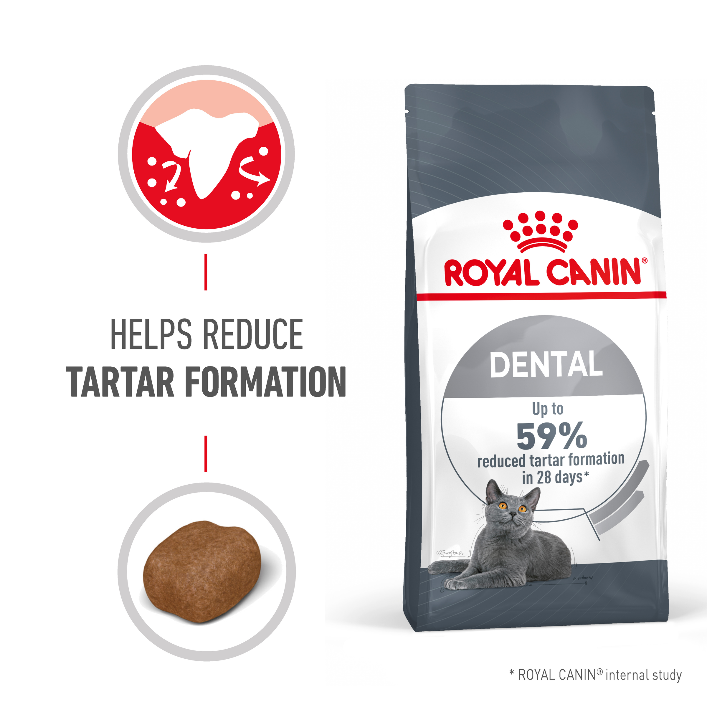 Royal Canin Dental Care Dry Cat Food product detail 1