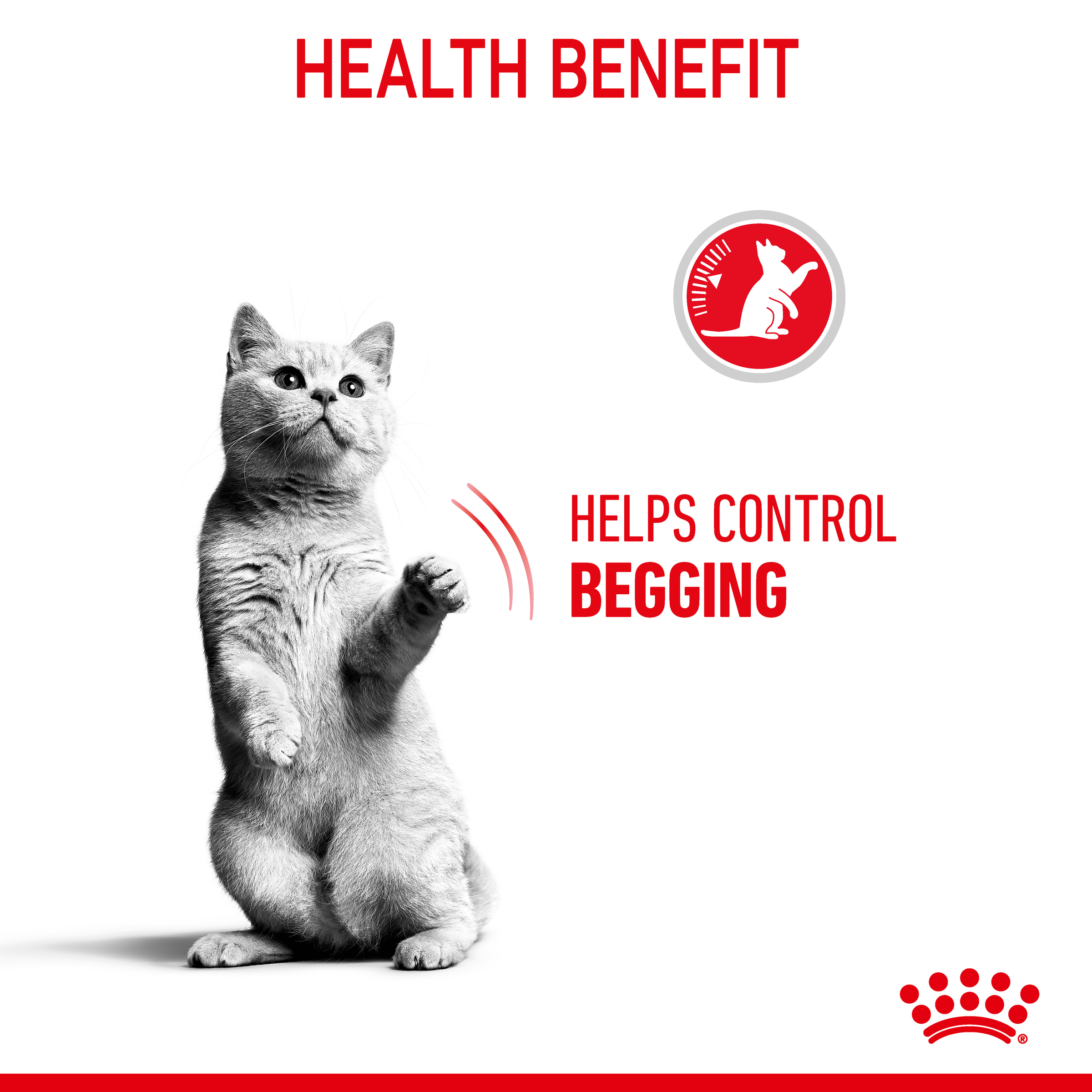 Royal Canin Appetite Control Care Dry Cat Food product detail 2