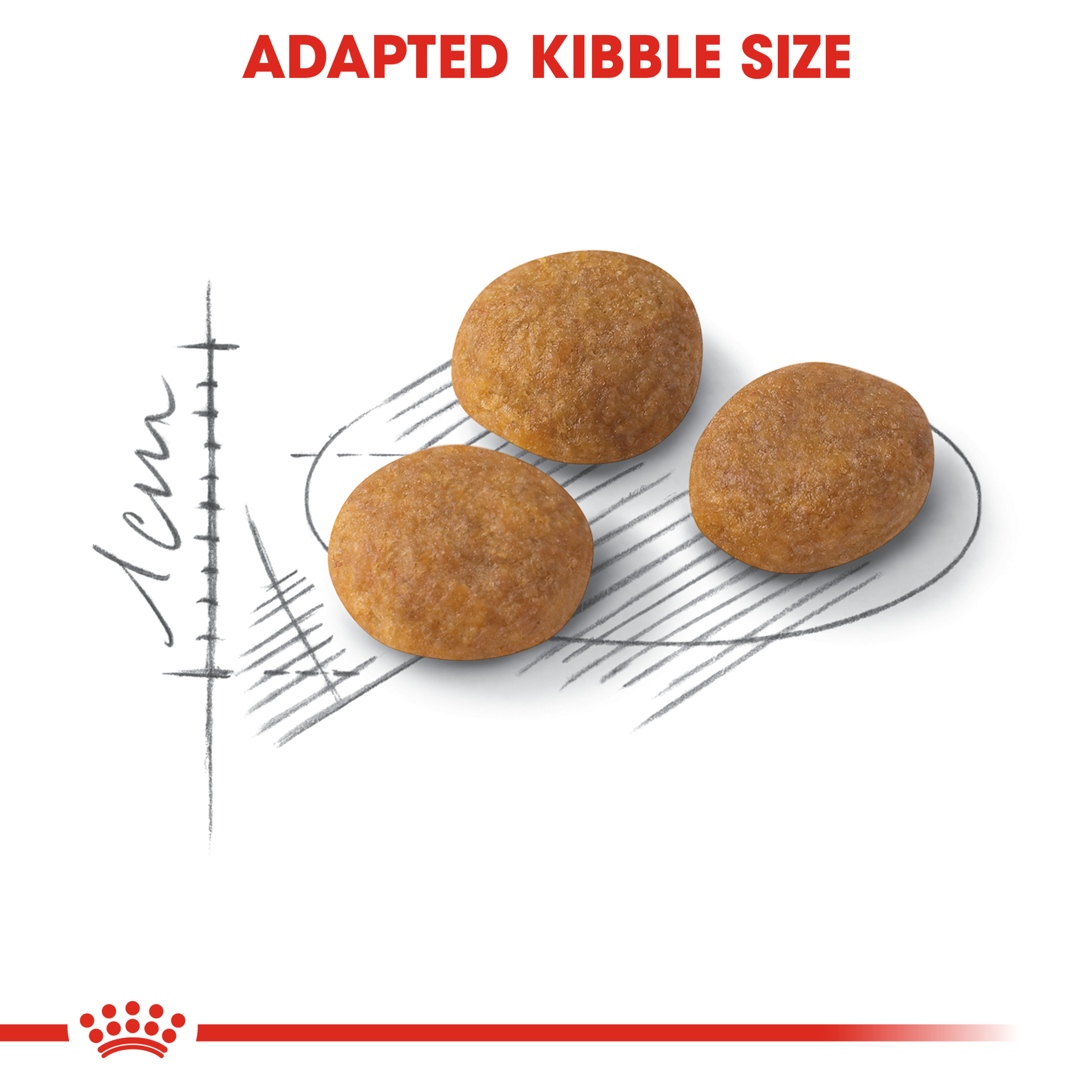 Royal Canin Exigent Aromatic Dry Cat Food product detail 3