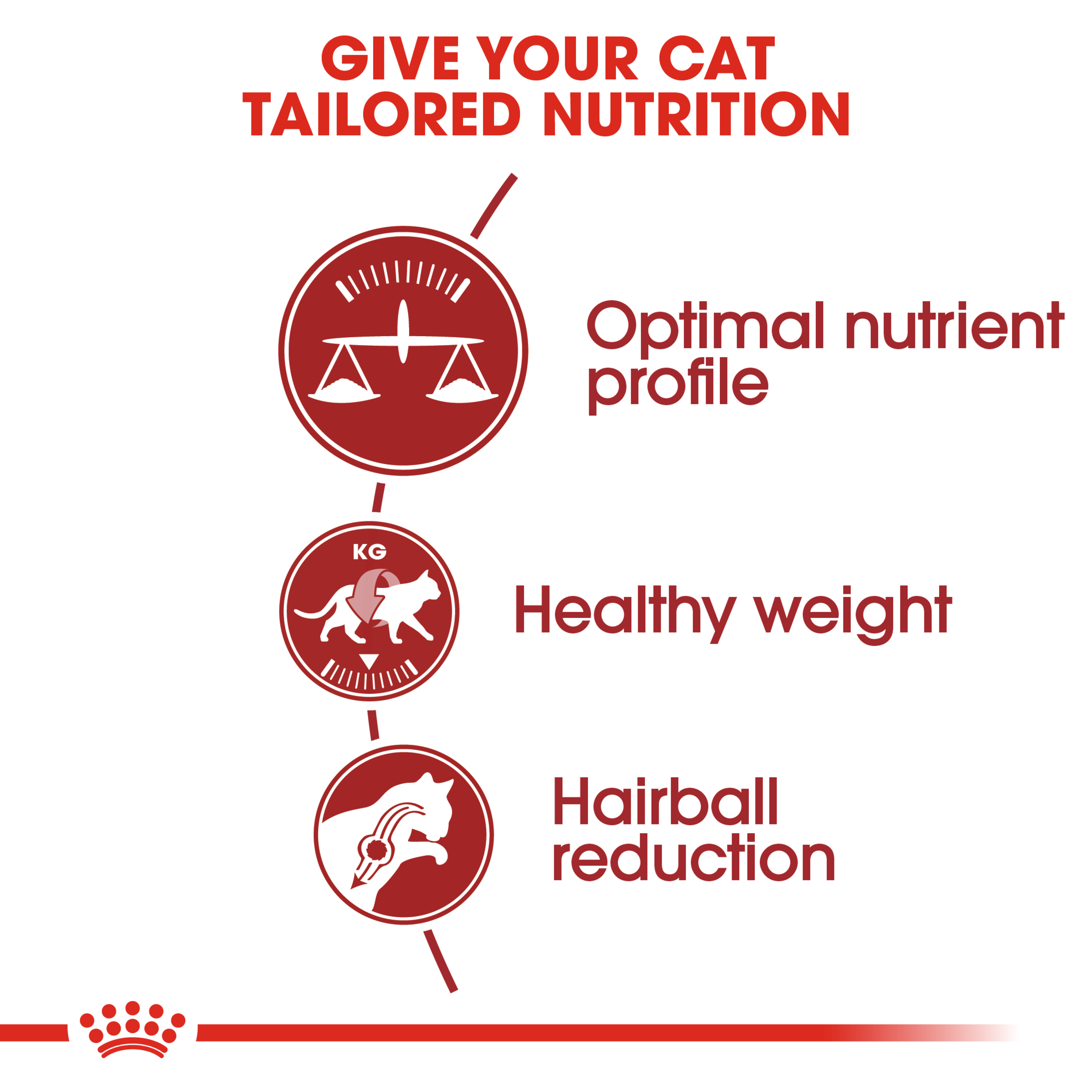 Royal Canin Fit Dry Cat Food product detail 2