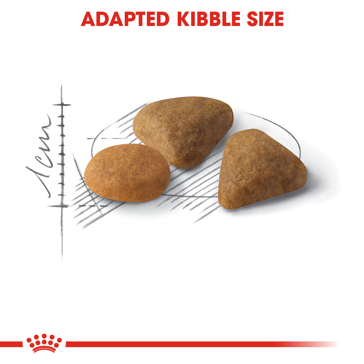 Close-up of Royal Canin Savour Exigent kibble shown with a size scale