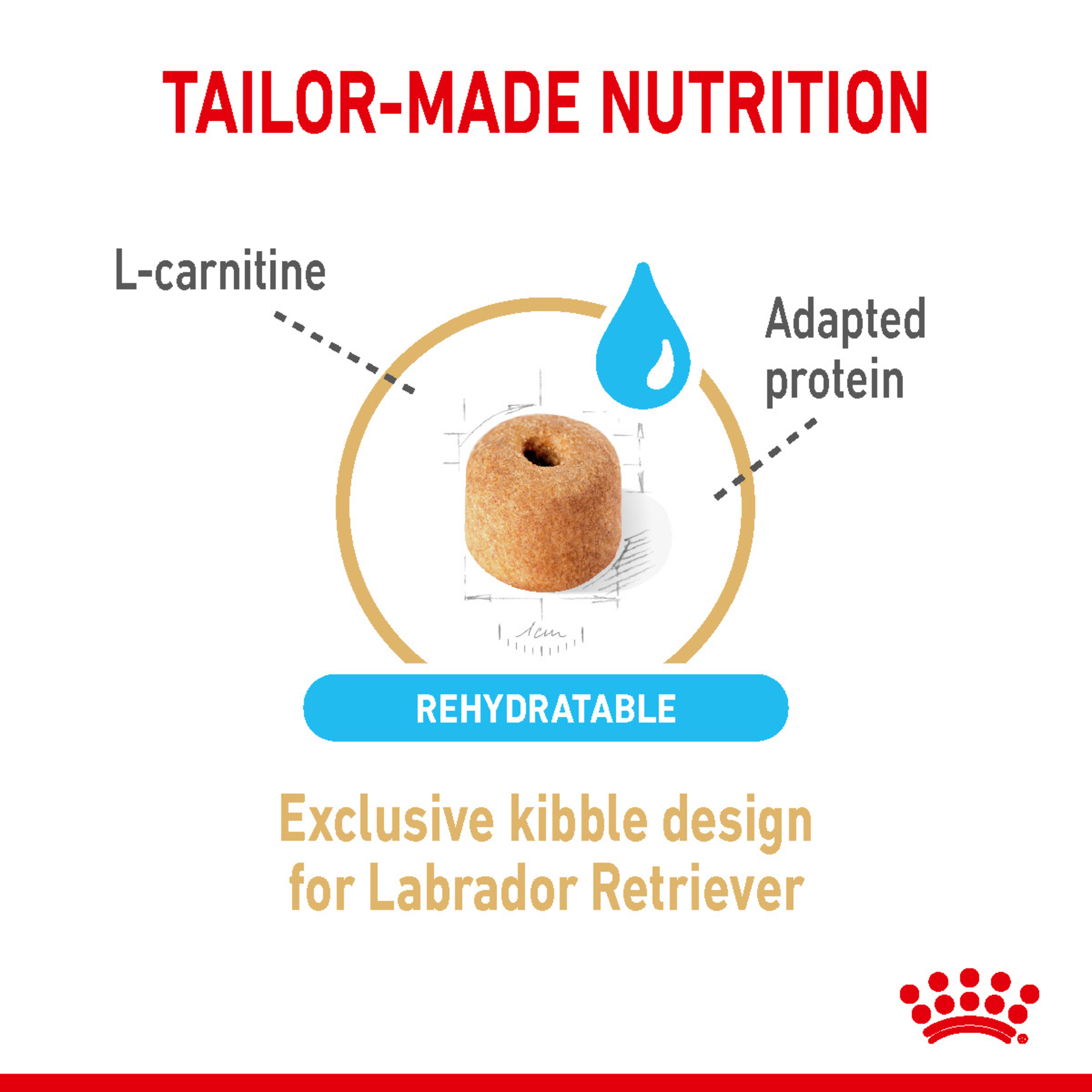 Royal Canin Labrador Retriever 5+ rehydratable kibble with L-carnitine and adapted protein