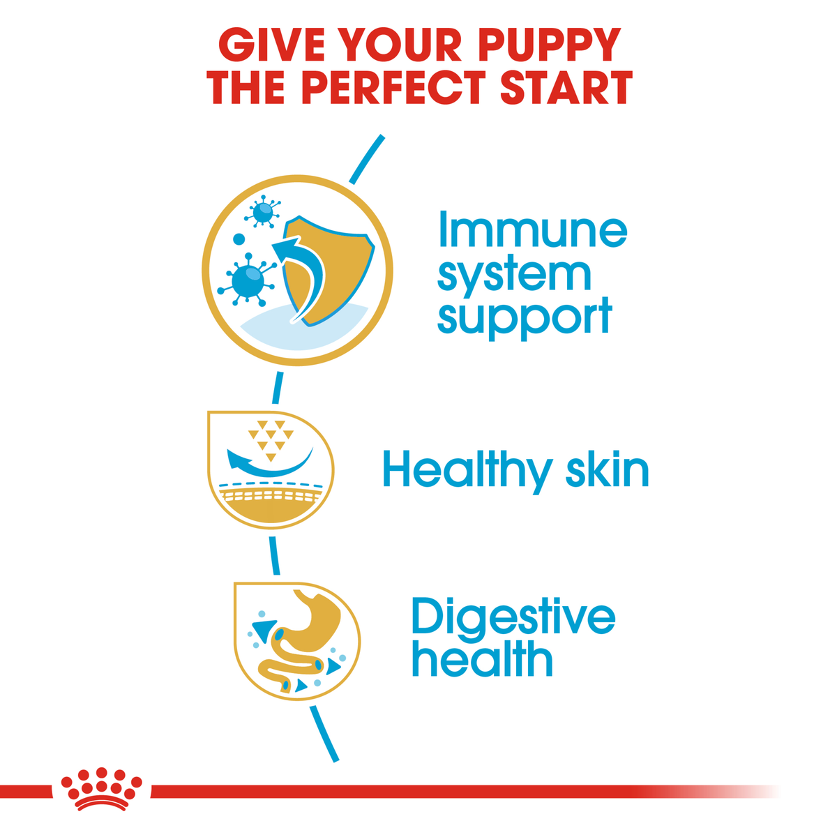 Royal Canin Pug Puppy benefits: immune system support, healthy skin, digestive health
