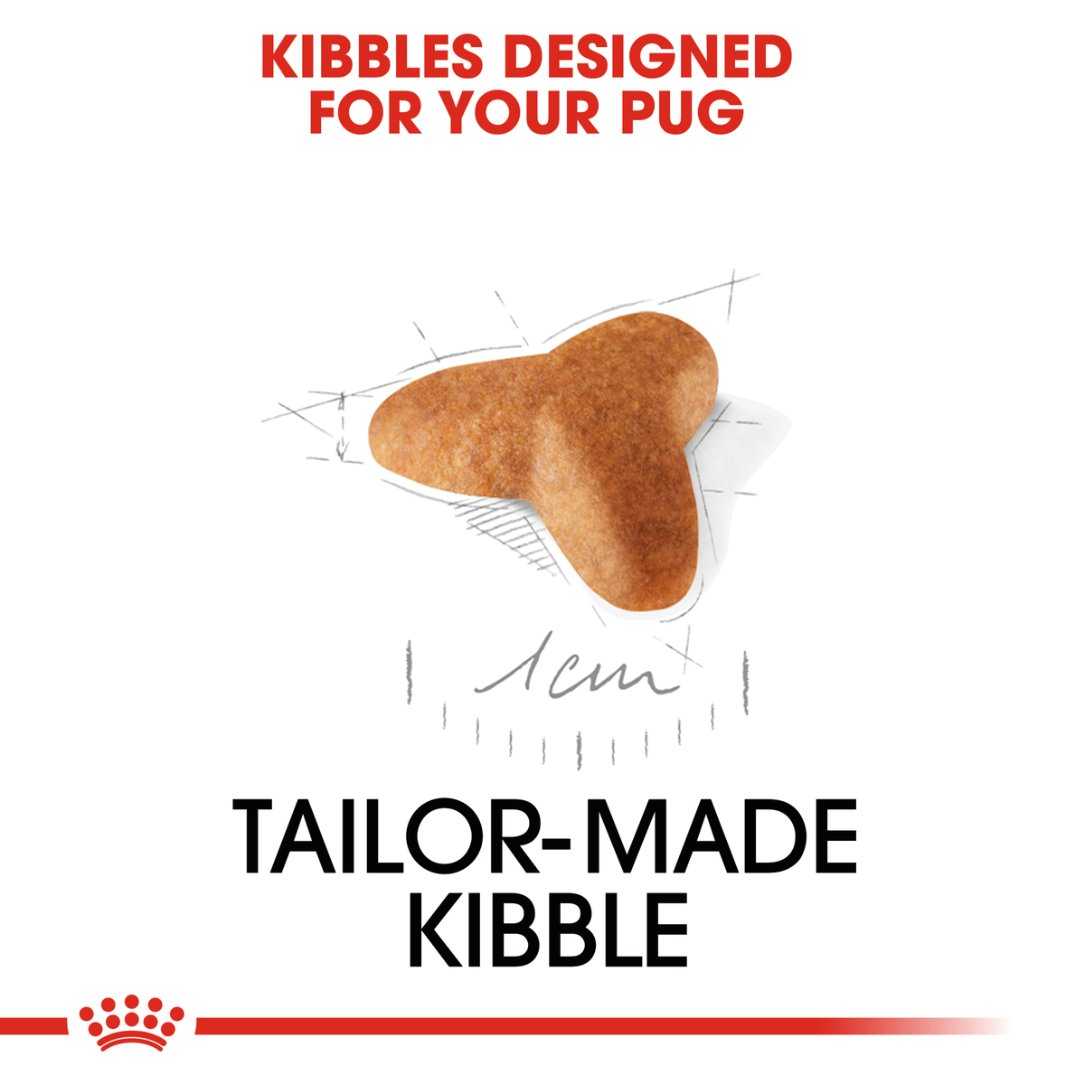 Close-up of the tailor-made Royal Canin kibble designed for the Pug Puppy