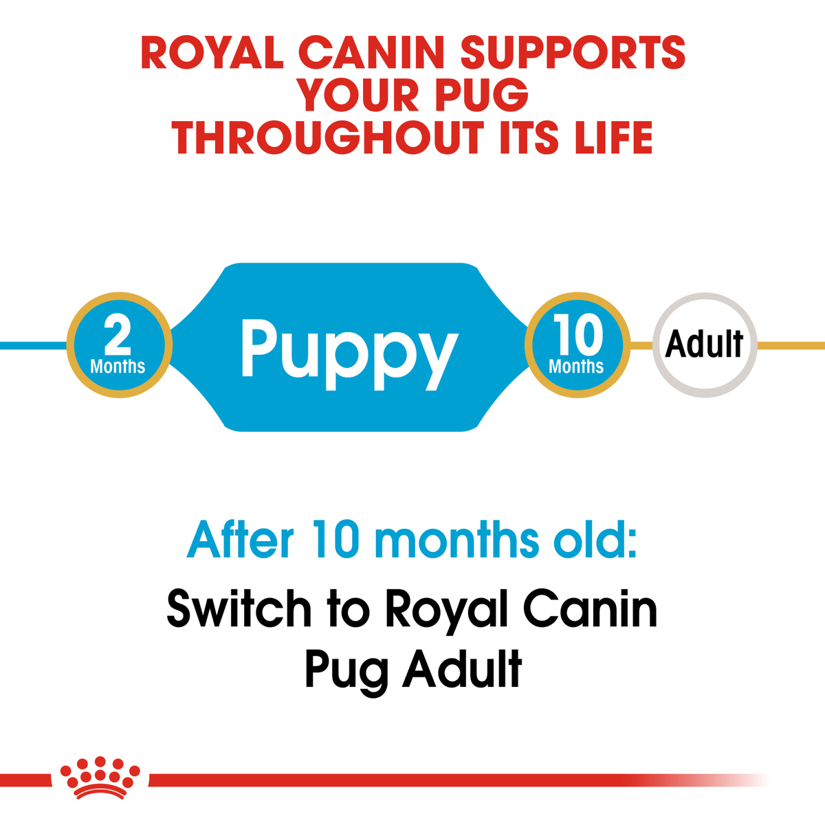 Royal Canin Pug life stage guide: puppy food to 10 months, then Pug Adult