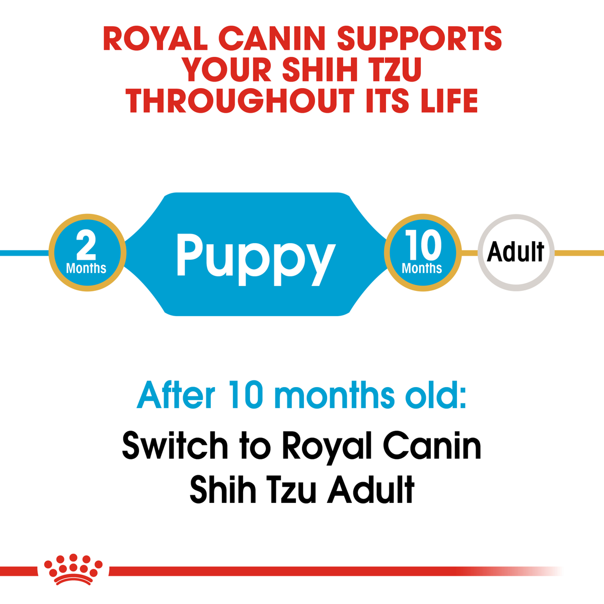 Royal Canin Shih Tzu life stage guide: puppy food to 10 months, then Shih Tzu Adult