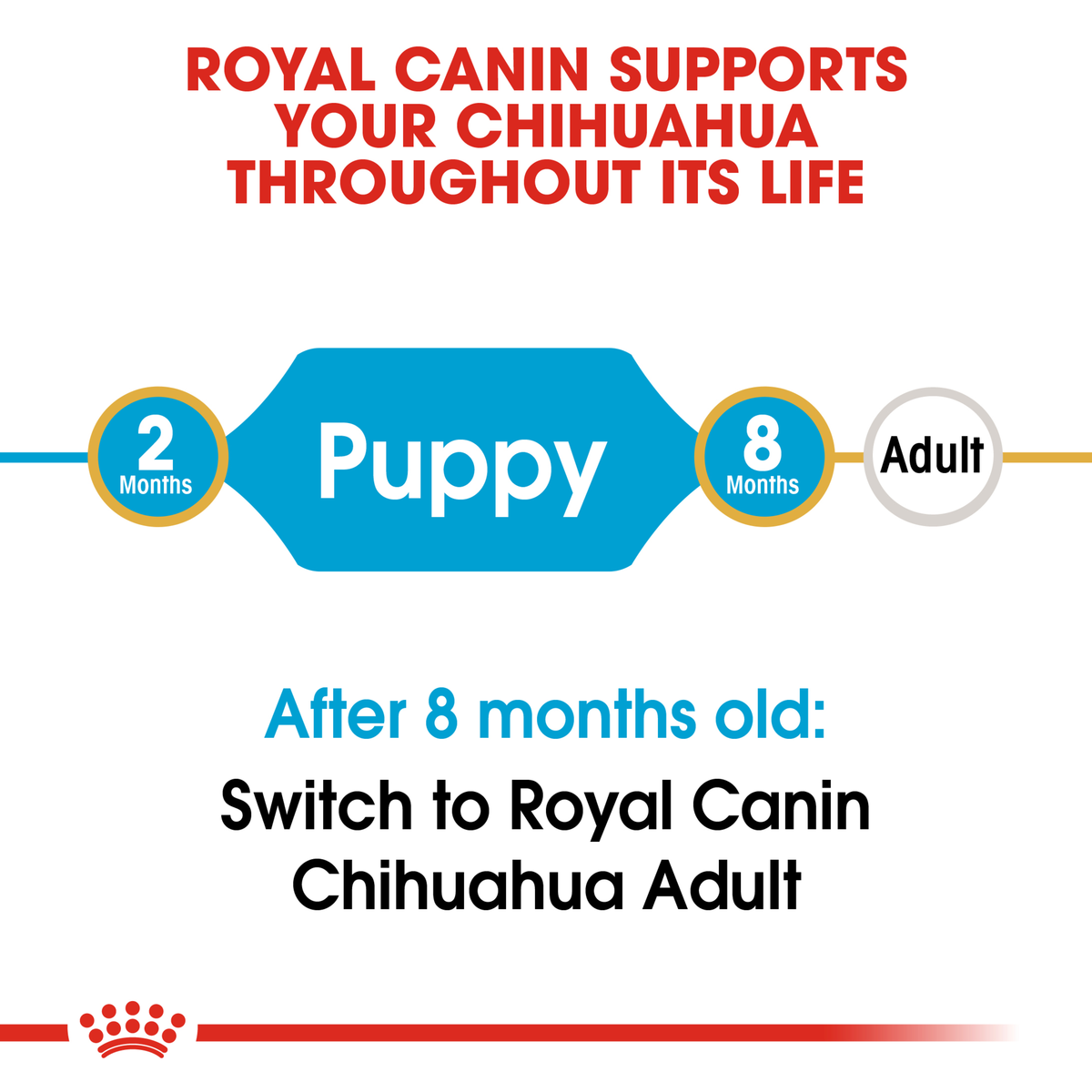 Royal Canin Chihuahua life stage guide: puppy food to 8 months, then Chihuahua Adult