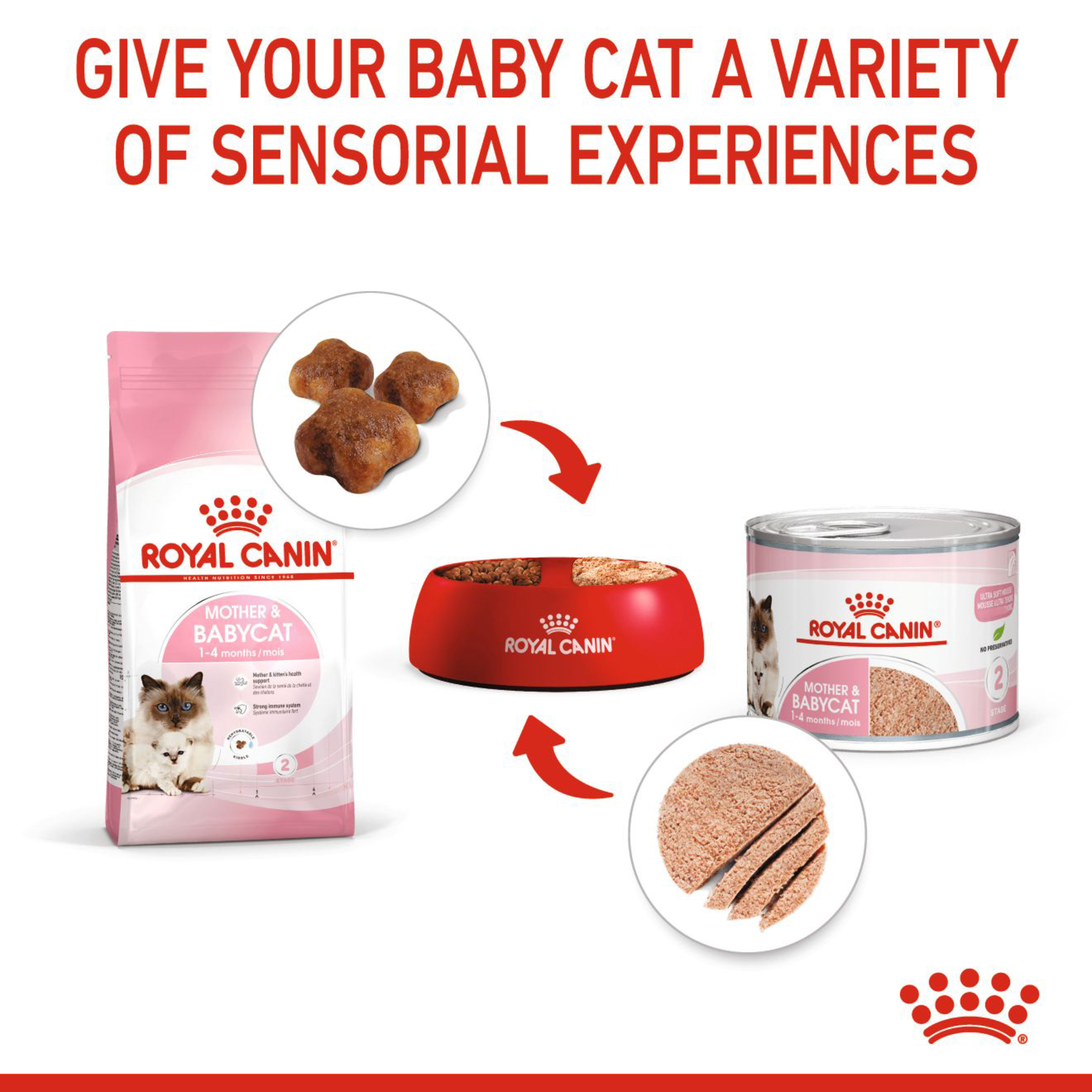 Royal Canin Mother and BabyCat Mousse Wet Cat Food product detail 4