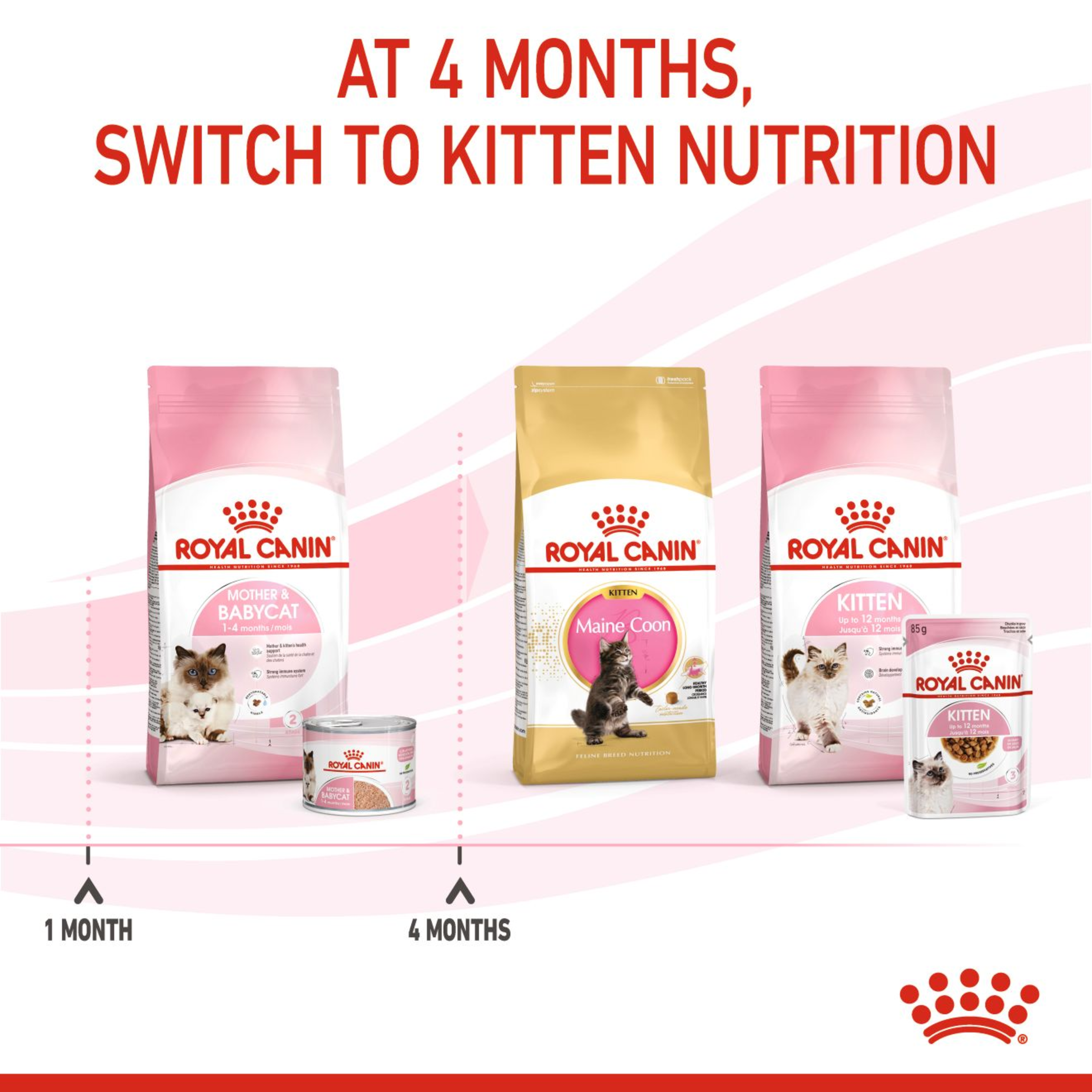 Royal Canin Mother and BabyCat Mousse Wet Cat Food product detail 5