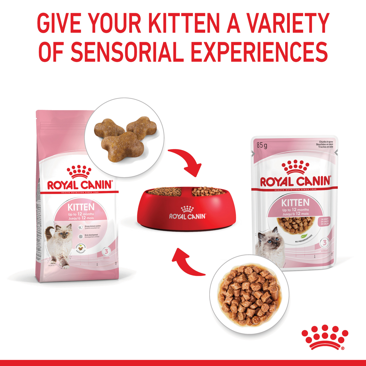 Royal Canin Kitten dry and wet food in a bowl for a variety of sensory experiences