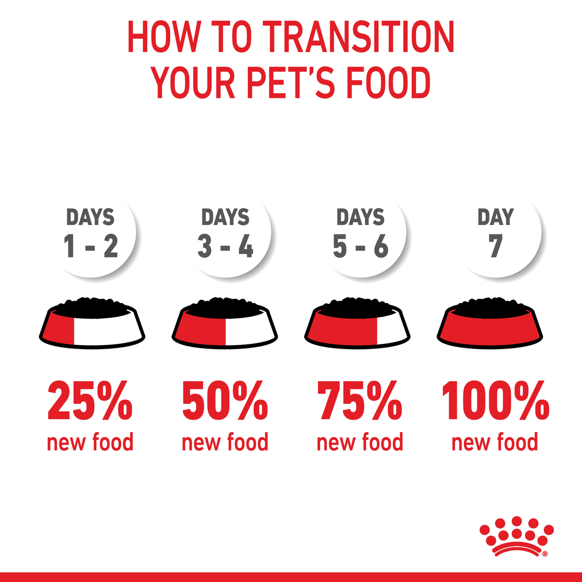 Royal Canin Kitten seven-day food transition guide, 25% to 100% new food