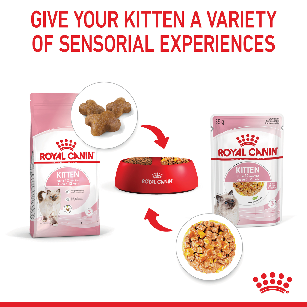 Royal Canin Kitten dry and wet food in a bowl for a variety of sensory experiences