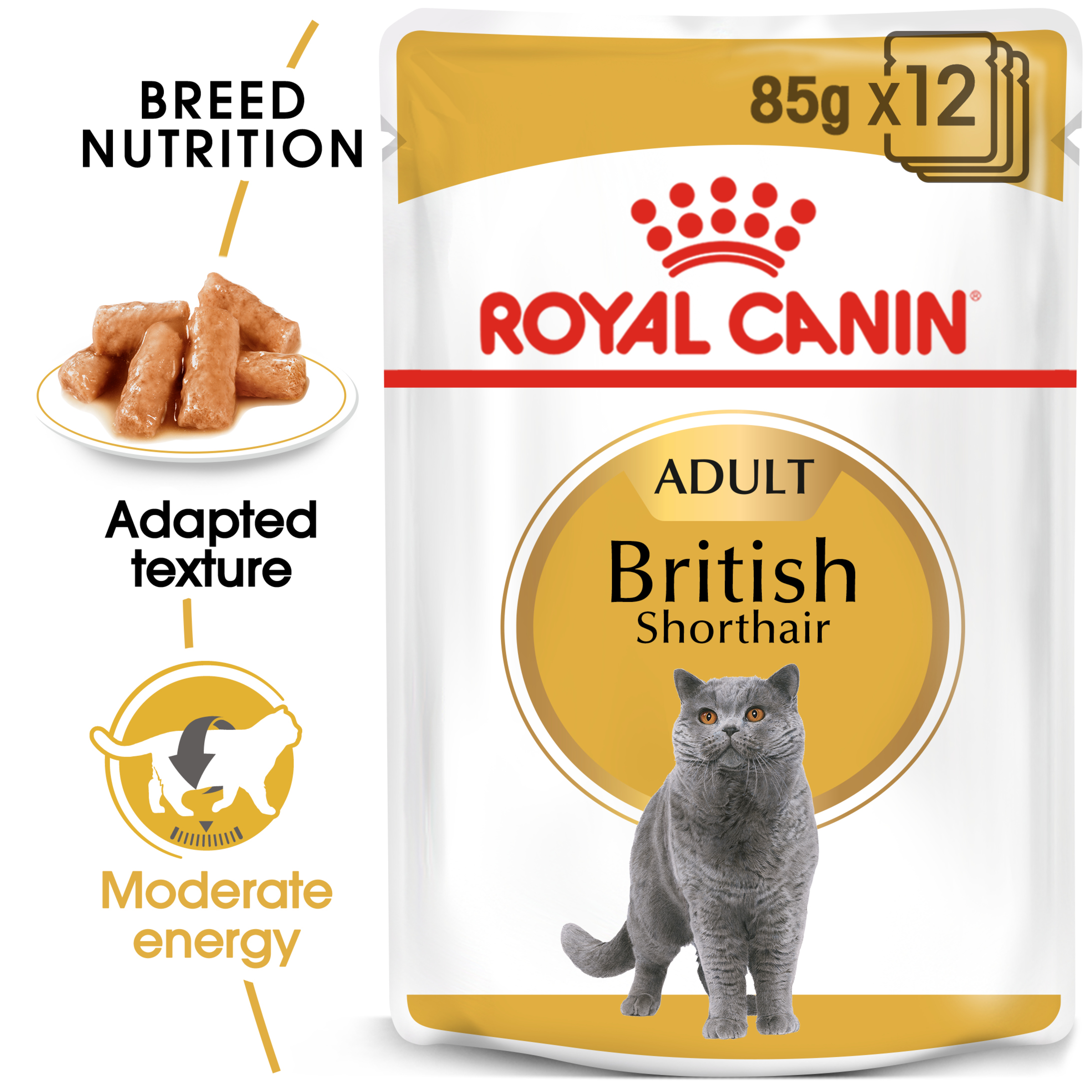 Royal Canin British Shorthair Gravy, wet cat food pouches, 12 or 48 x 85g, cat