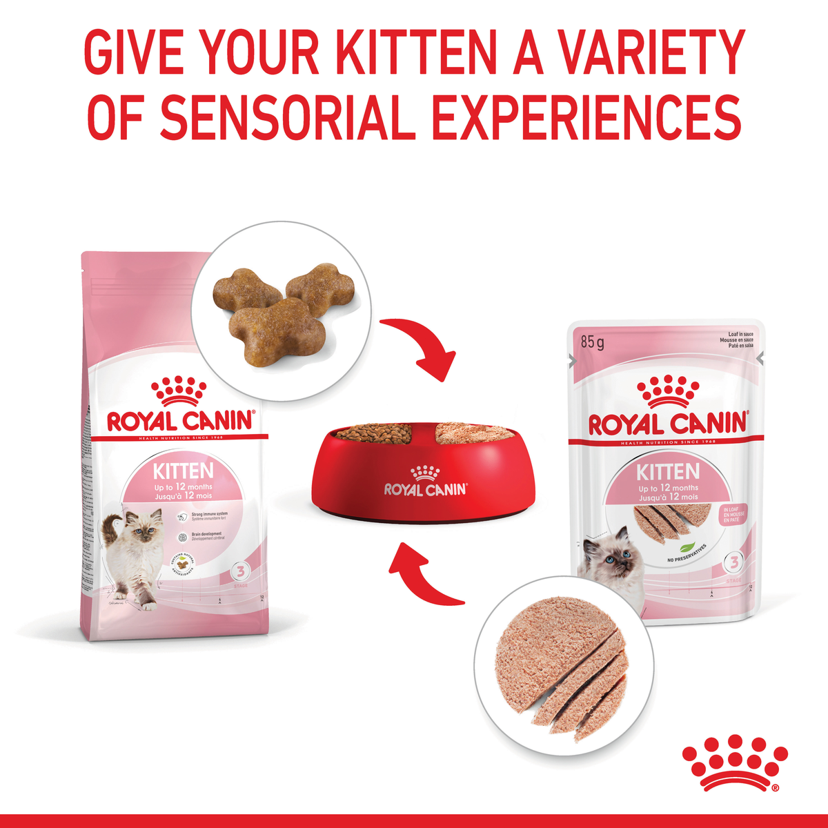 Royal Canin Kitten dry and wet food in a bowl for a variety of sensory experiences