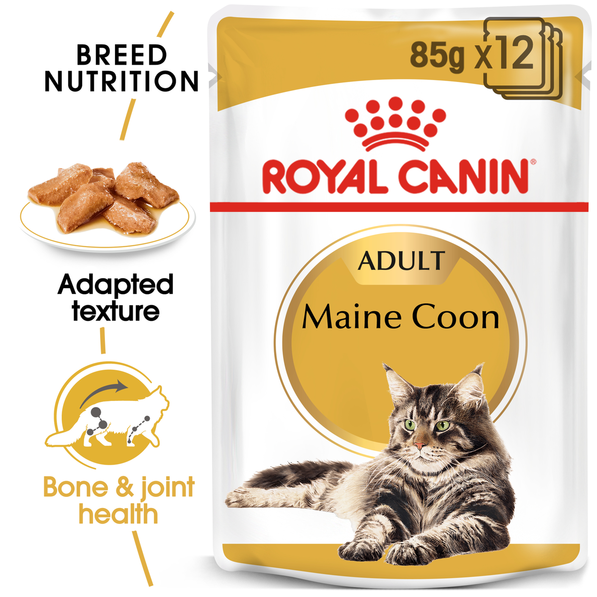 Royal Canin Maine Coon 85g x 12 pouch pack with adapted texture and joint health callouts