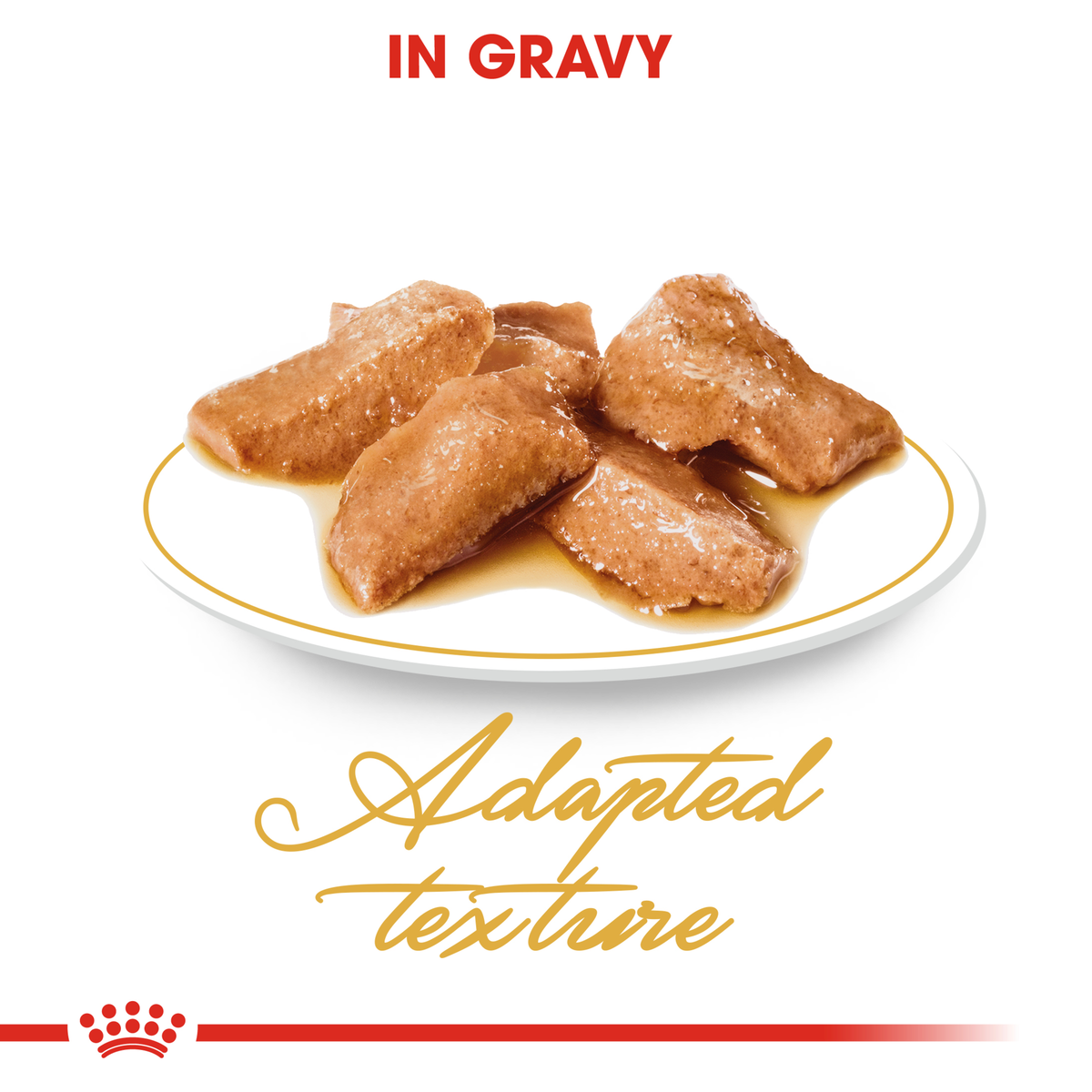 Close-up of Royal Canin Maine Coon chunks in gravy, adapted texture