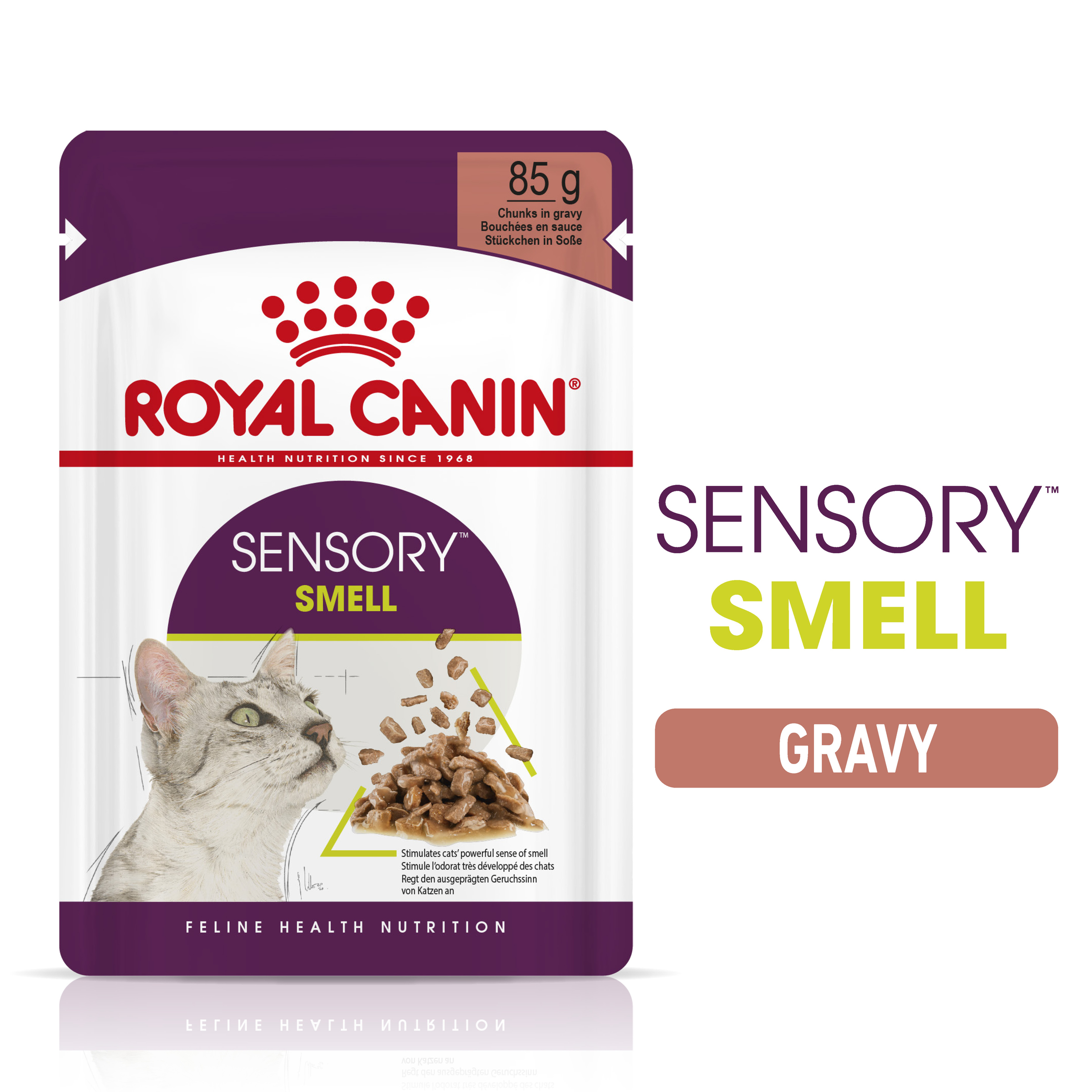 Royal Canin Wet Cat Food Sensory Smell Gravy product detail 1