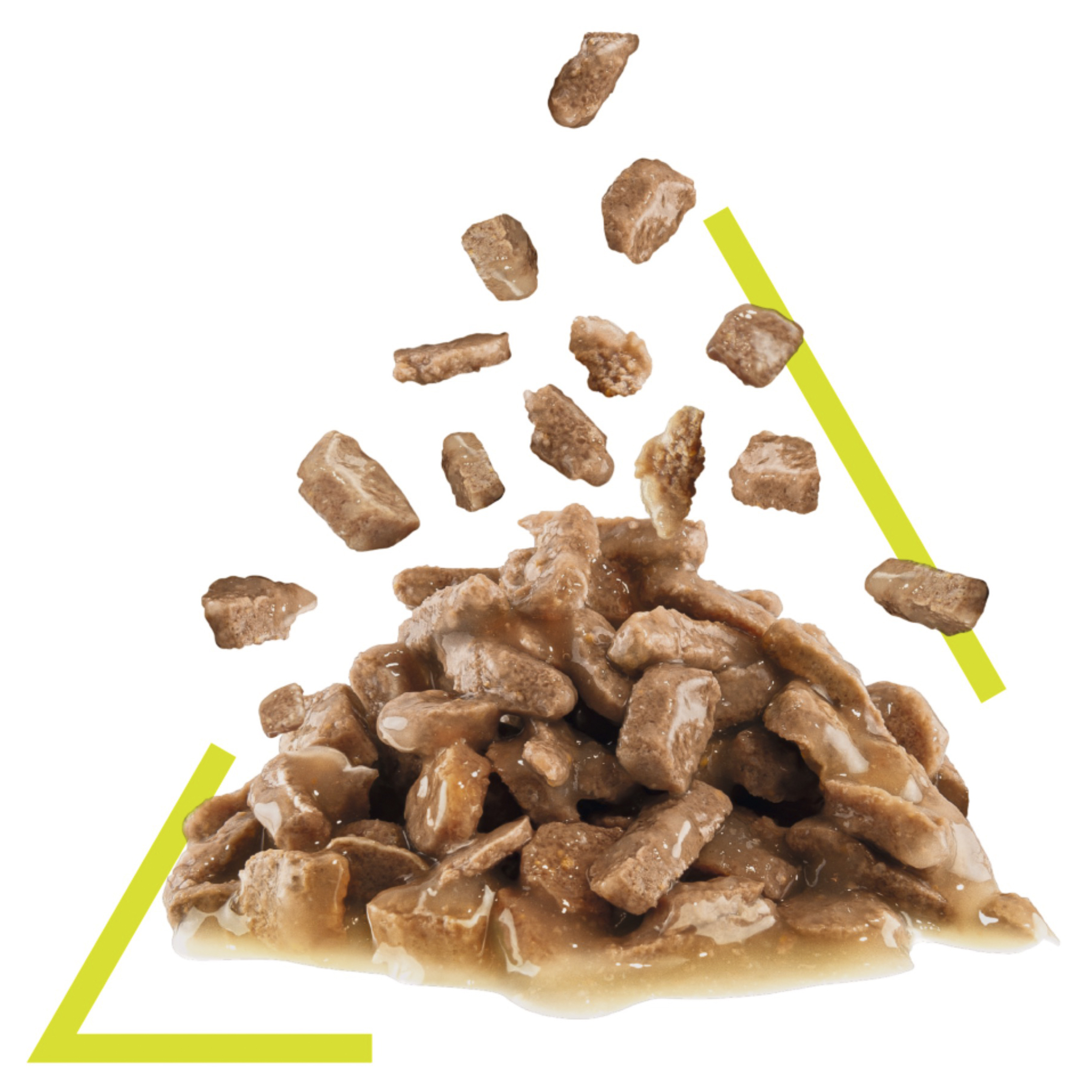 Royal Canin Wet Cat Food Sensory Smell Gravy product detail 3