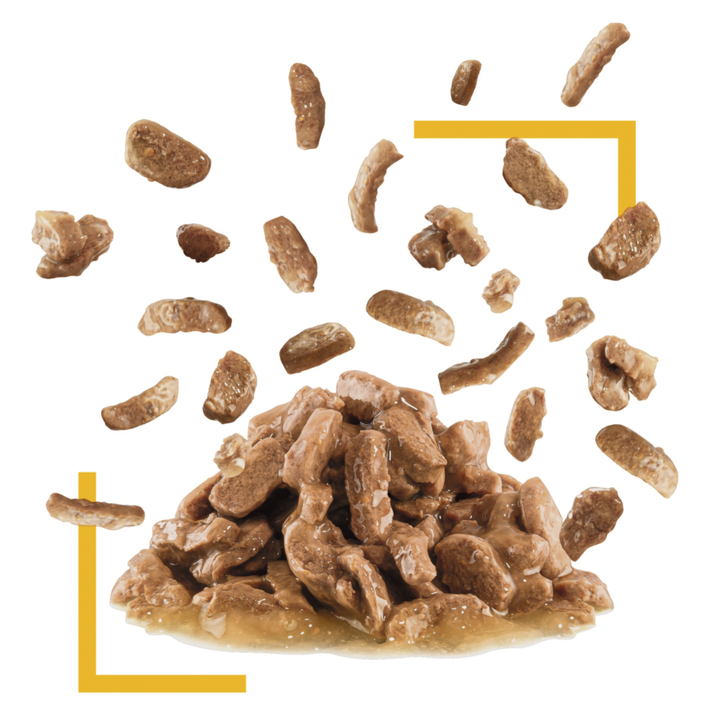 Royal Canin Wet Cat Food Sensory Taste Gravy product detail 3