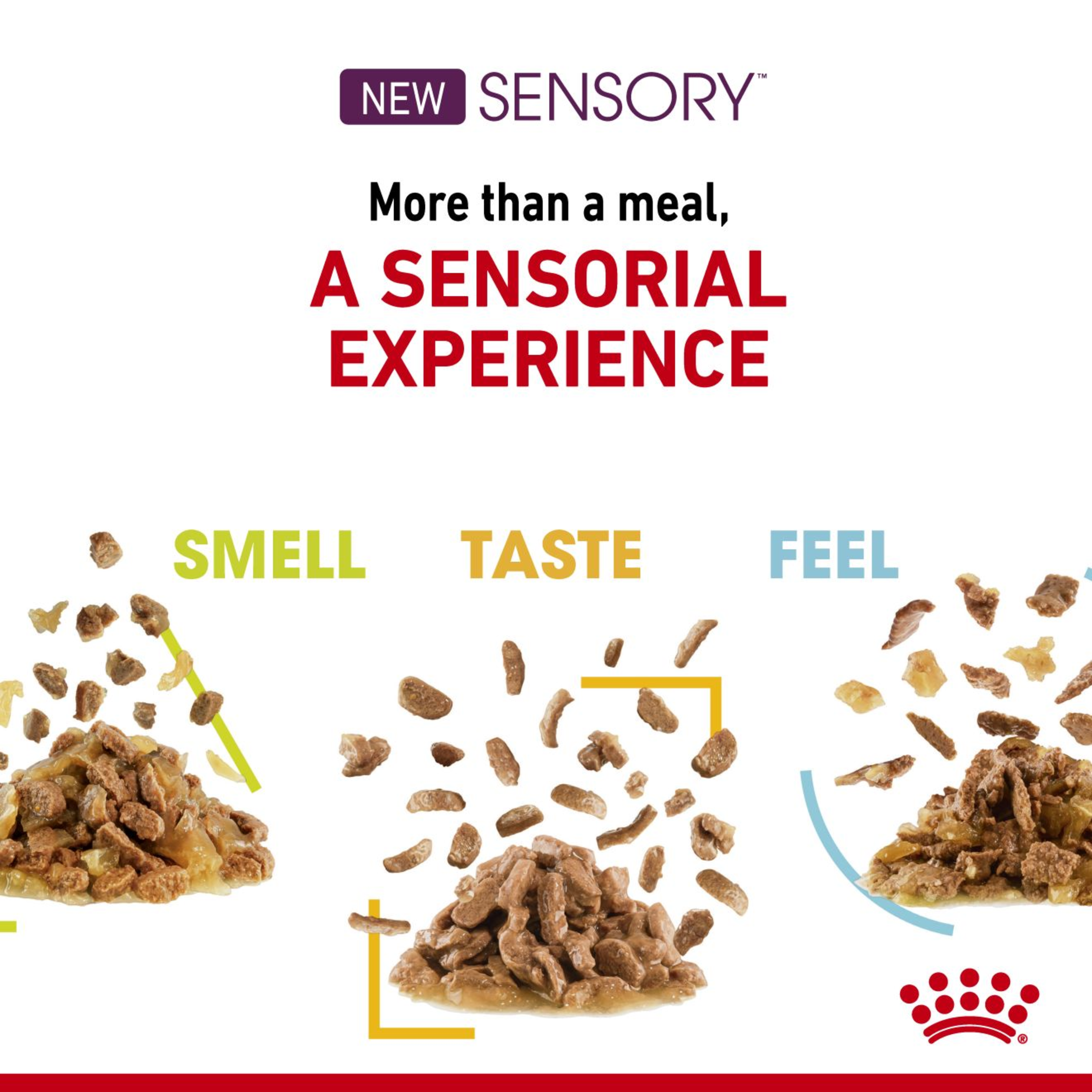 Royal Canin Wet Cat Food Sensory Taste Gravy product detail 4