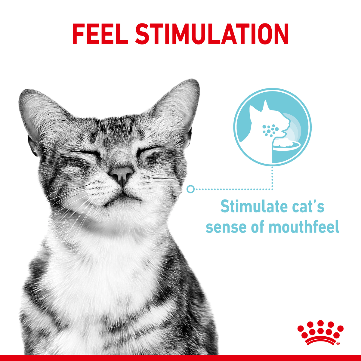 Black and white cat with the Royal Canin Sensory Feel claim on stimulating mouthfeel