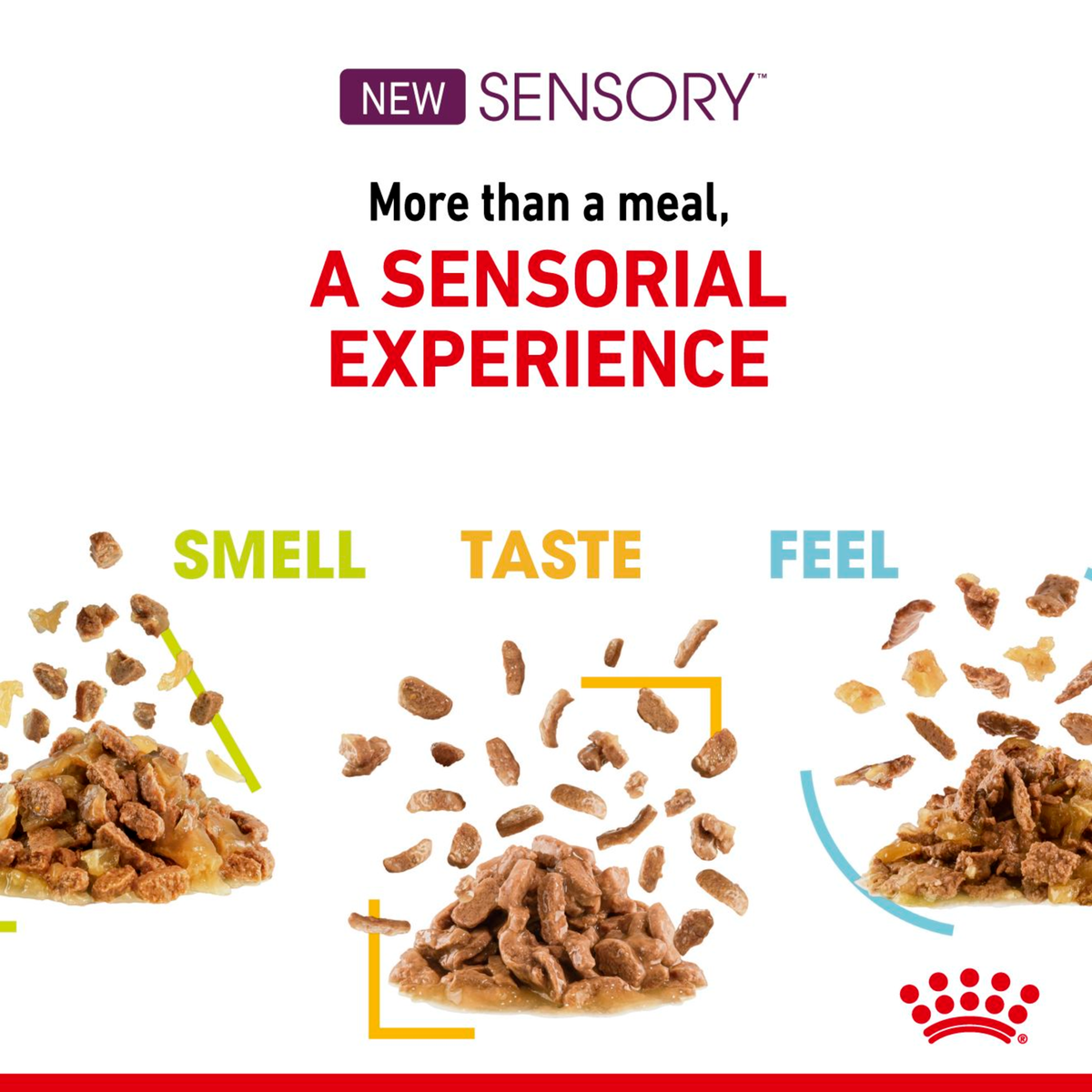 Royal Canin Sensory range graphic: smell, taste and feel as a sensorial experience