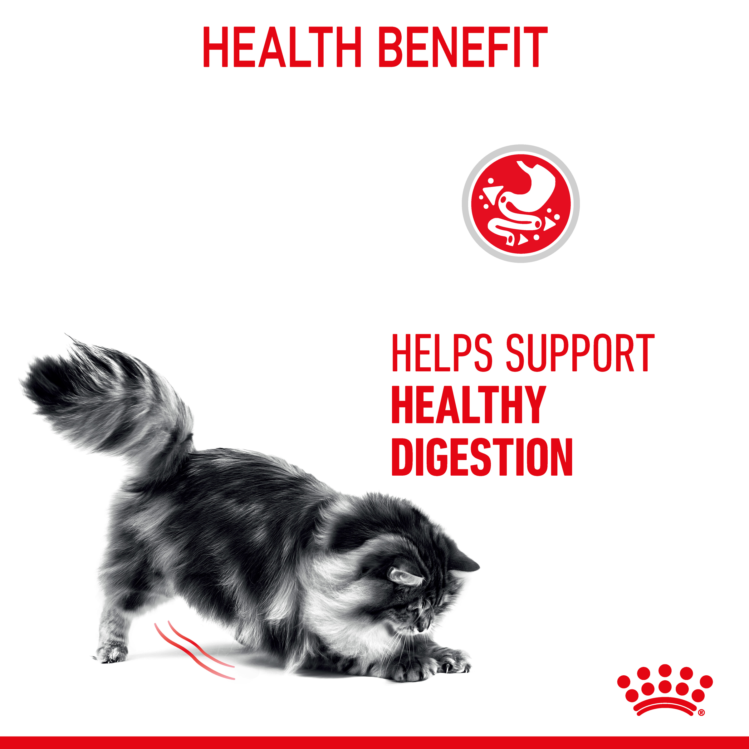 Royal Canin Wet Cat Food Digestive Care Gravy product detail 4