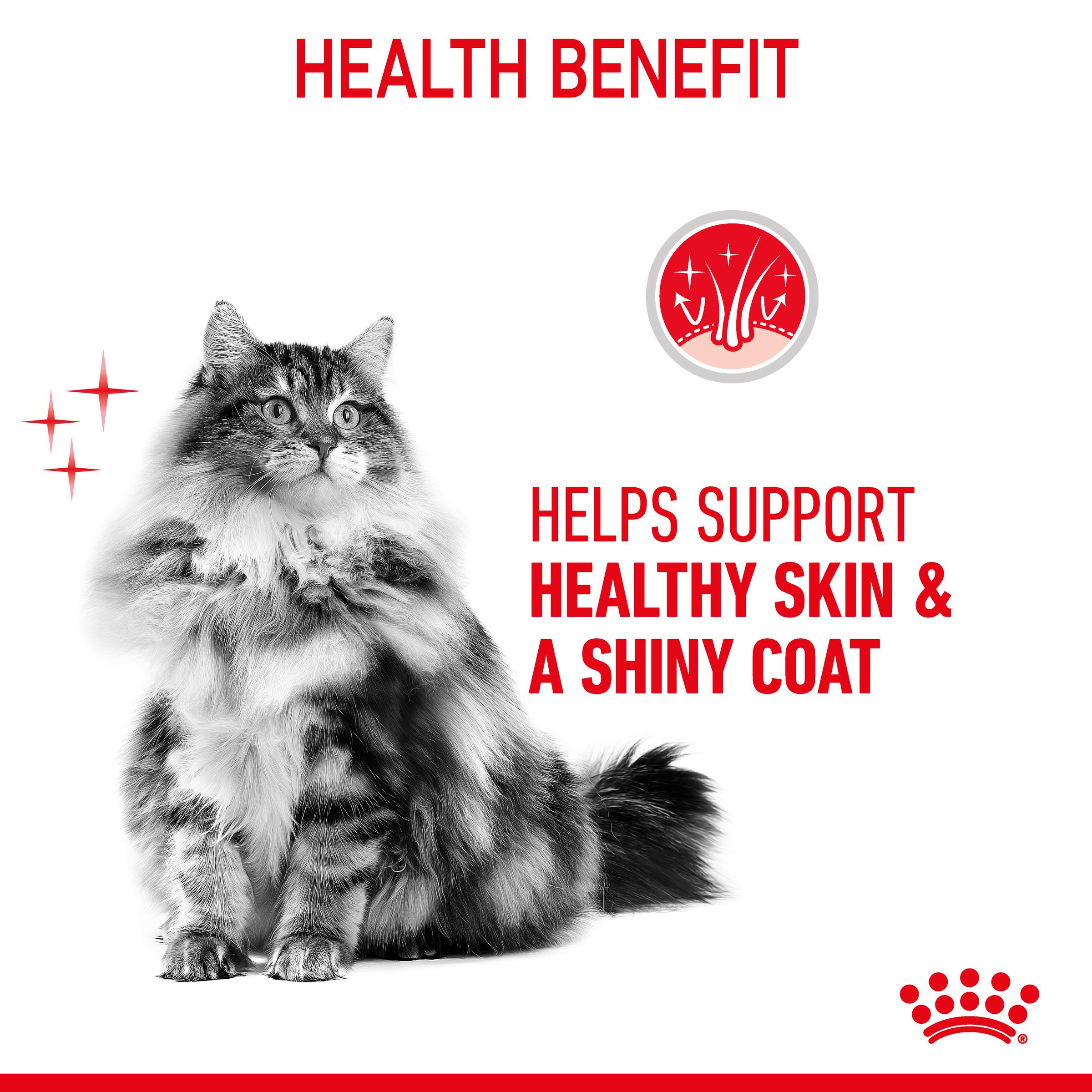 Royal Canin Wet Cat Food Hair & Skin Care Jelly product detail 3