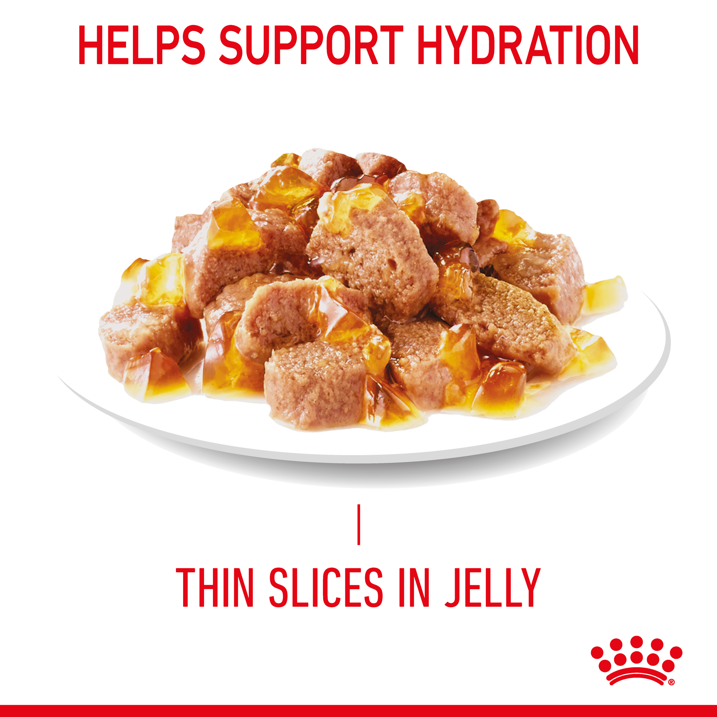Royal Canin Wet Cat Food Hair & Skin Care Jelly product detail 4