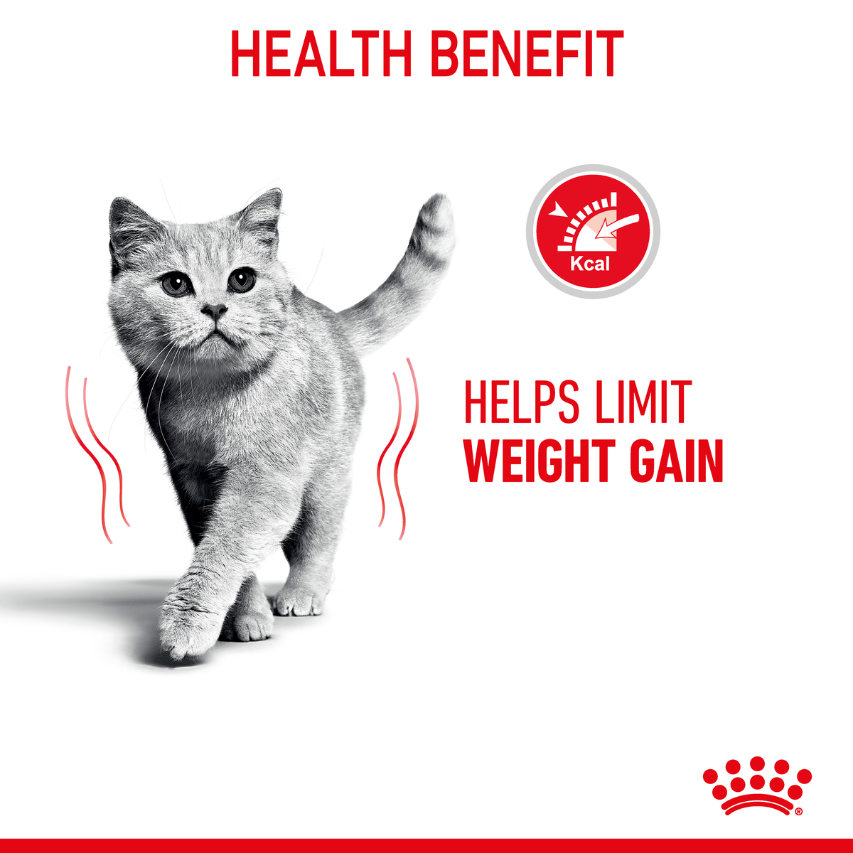 Cat walking beside the Royal Canin Light Weight Care helps limit weight gain claim