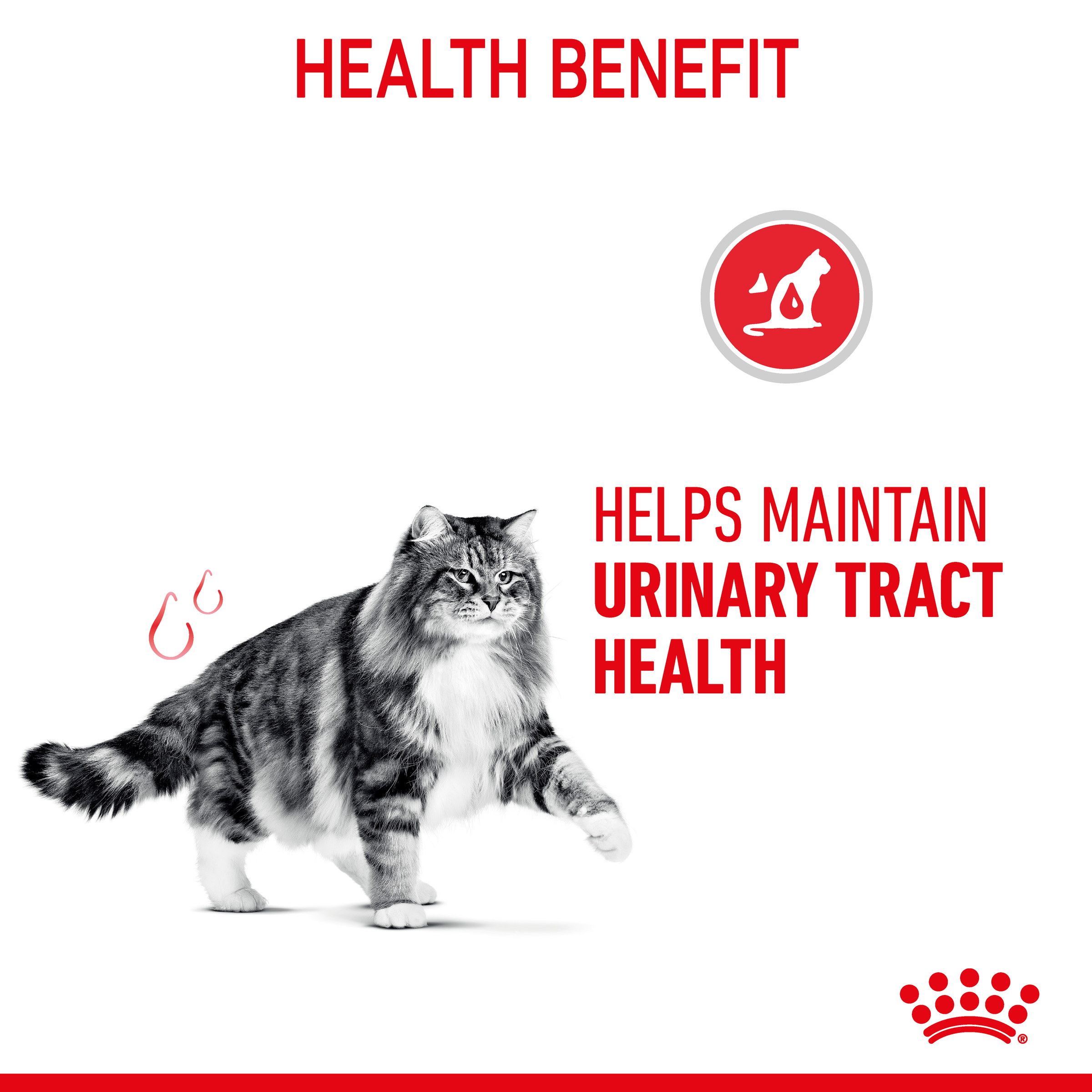 Royal Canin Wet Cat Food Urinary Care Gravy product detail 3