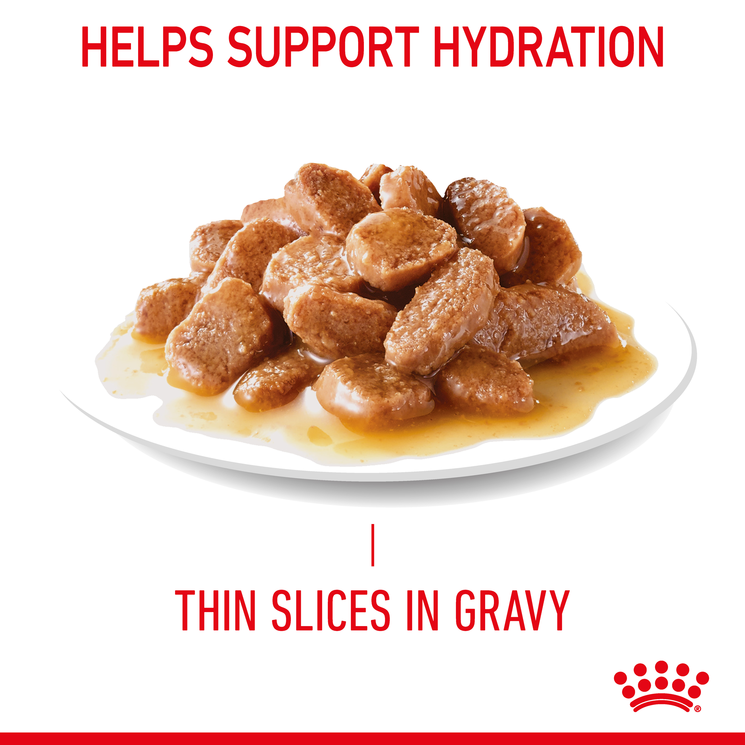Royal Canin Wet Cat Food Urinary Care Gravy product detail 4